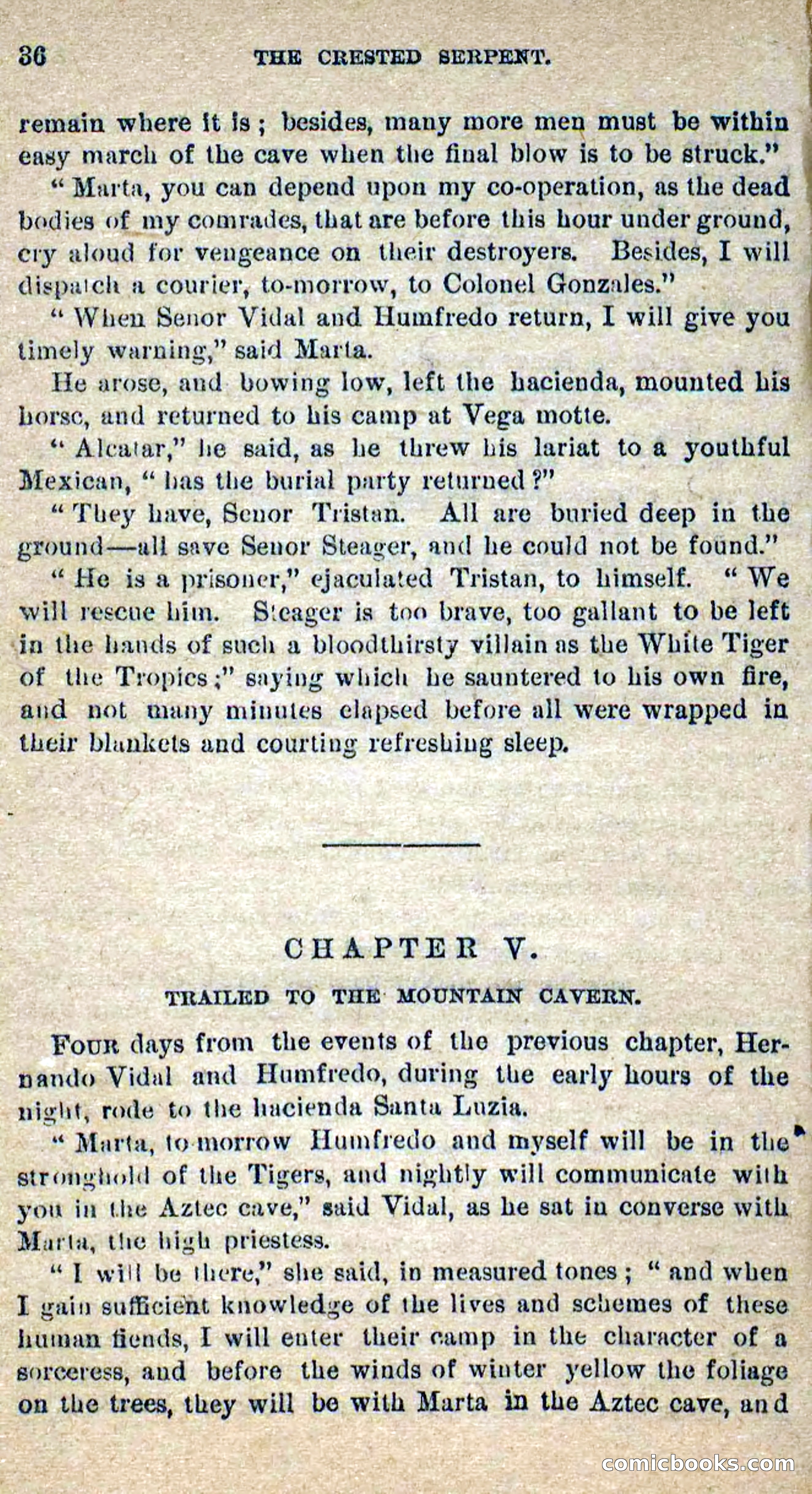 Beadle's Dime Novels No. 300: The Crested Serpent — page 32 of 100