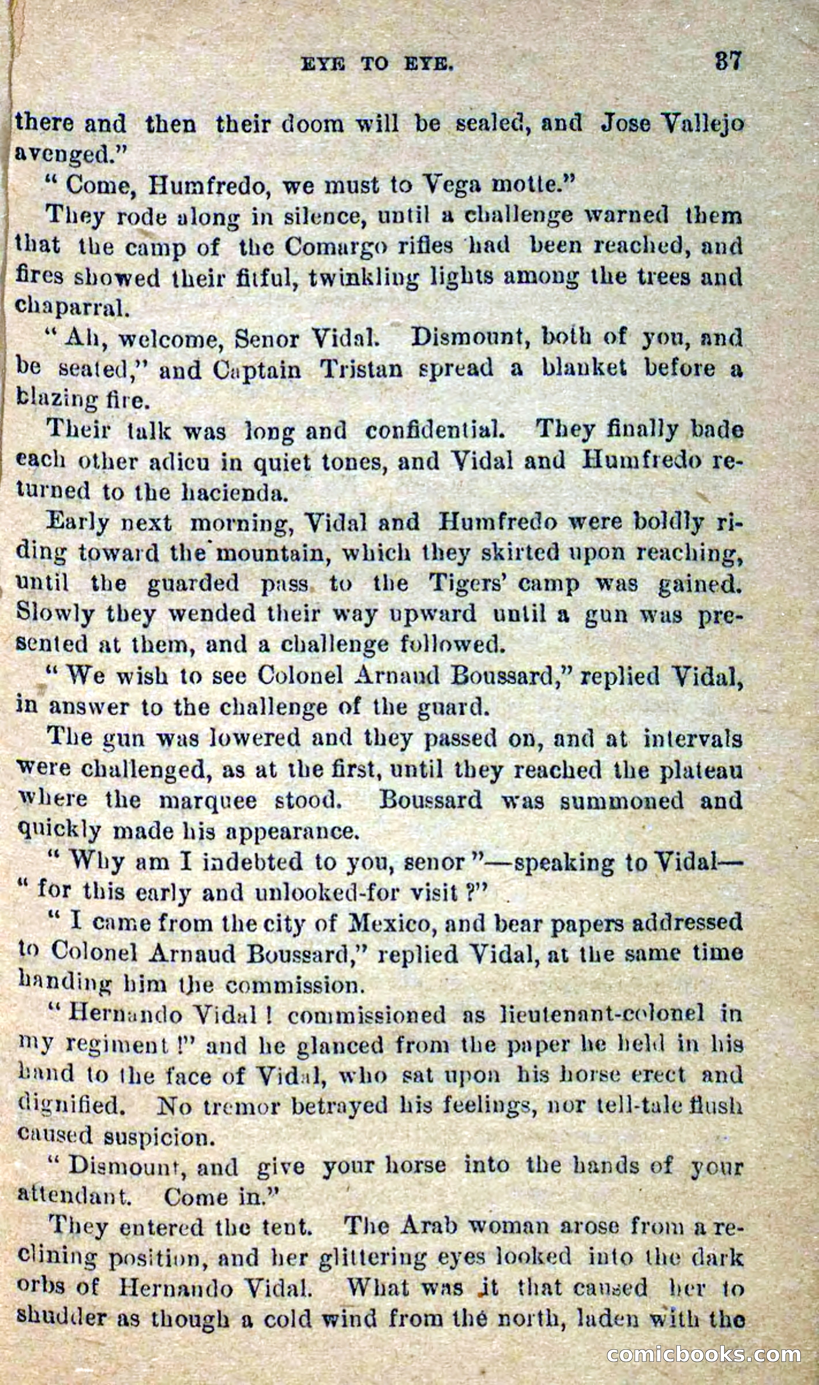 Beadle's Dime Novels No. 300: The Crested Serpent — page 33 of 100