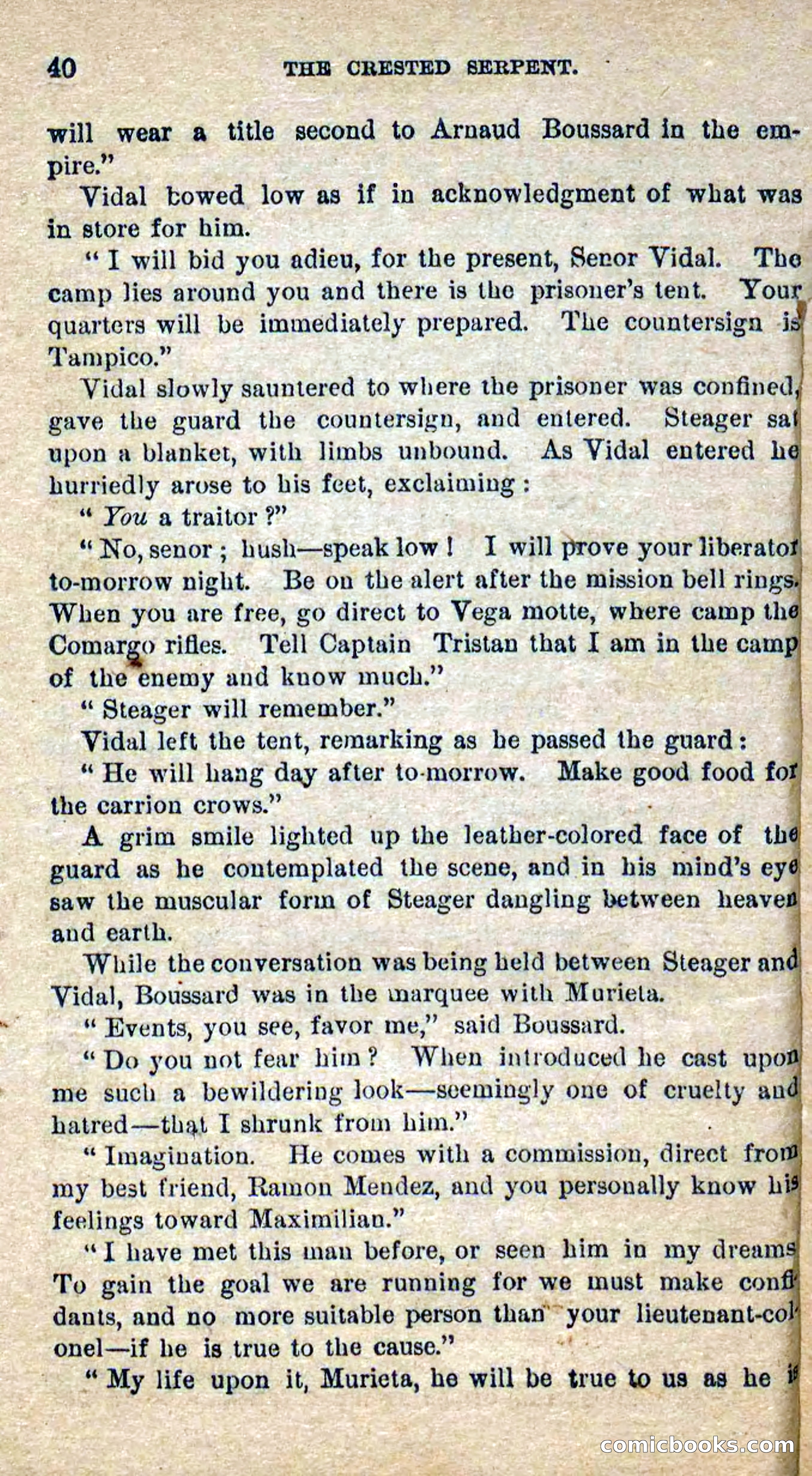 Beadle's Dime Novels No. 300: The Crested Serpent — page 36 of 100