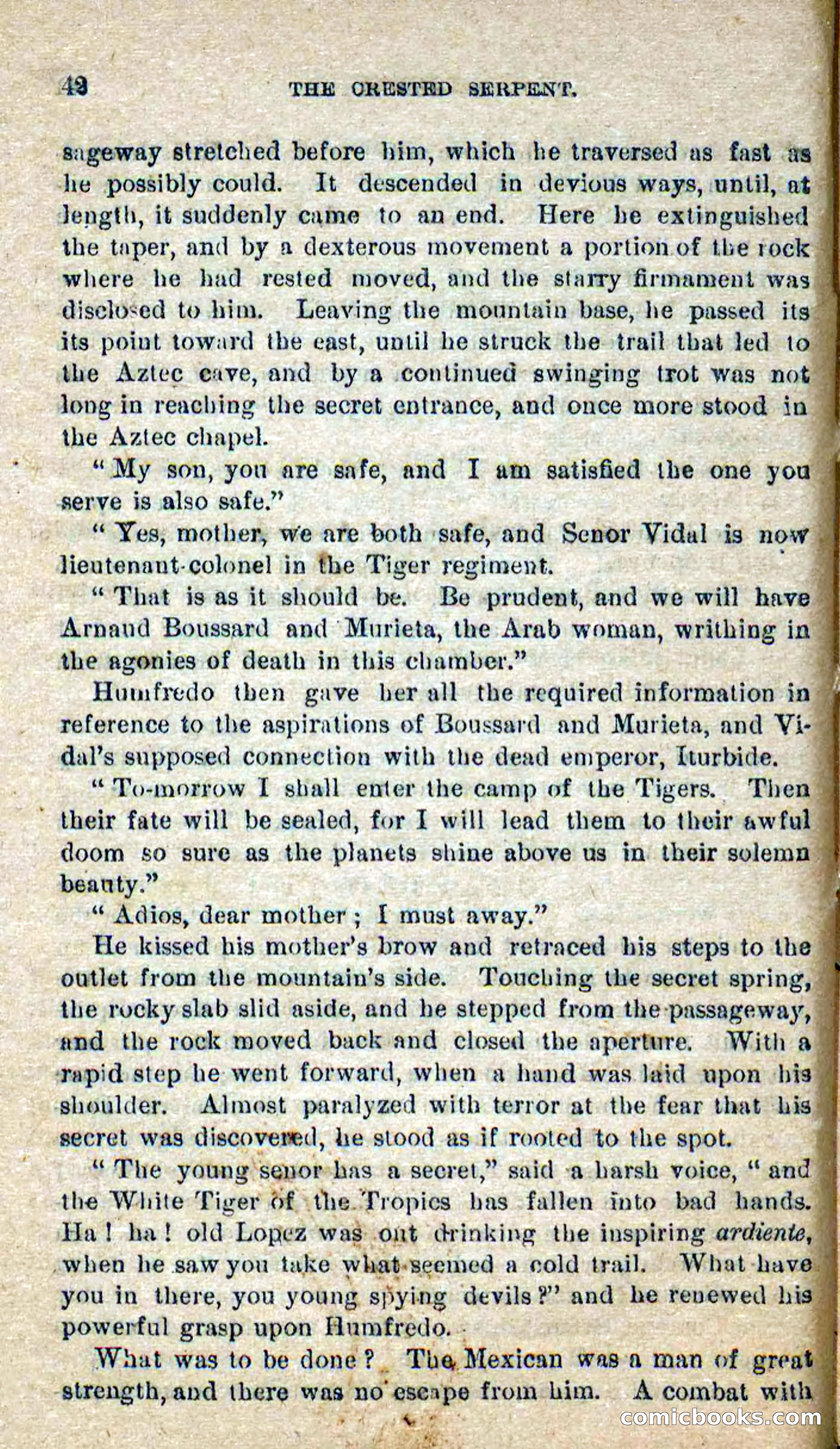 Beadle's Dime Novels No. 300: The Crested Serpent — page 38 of 100