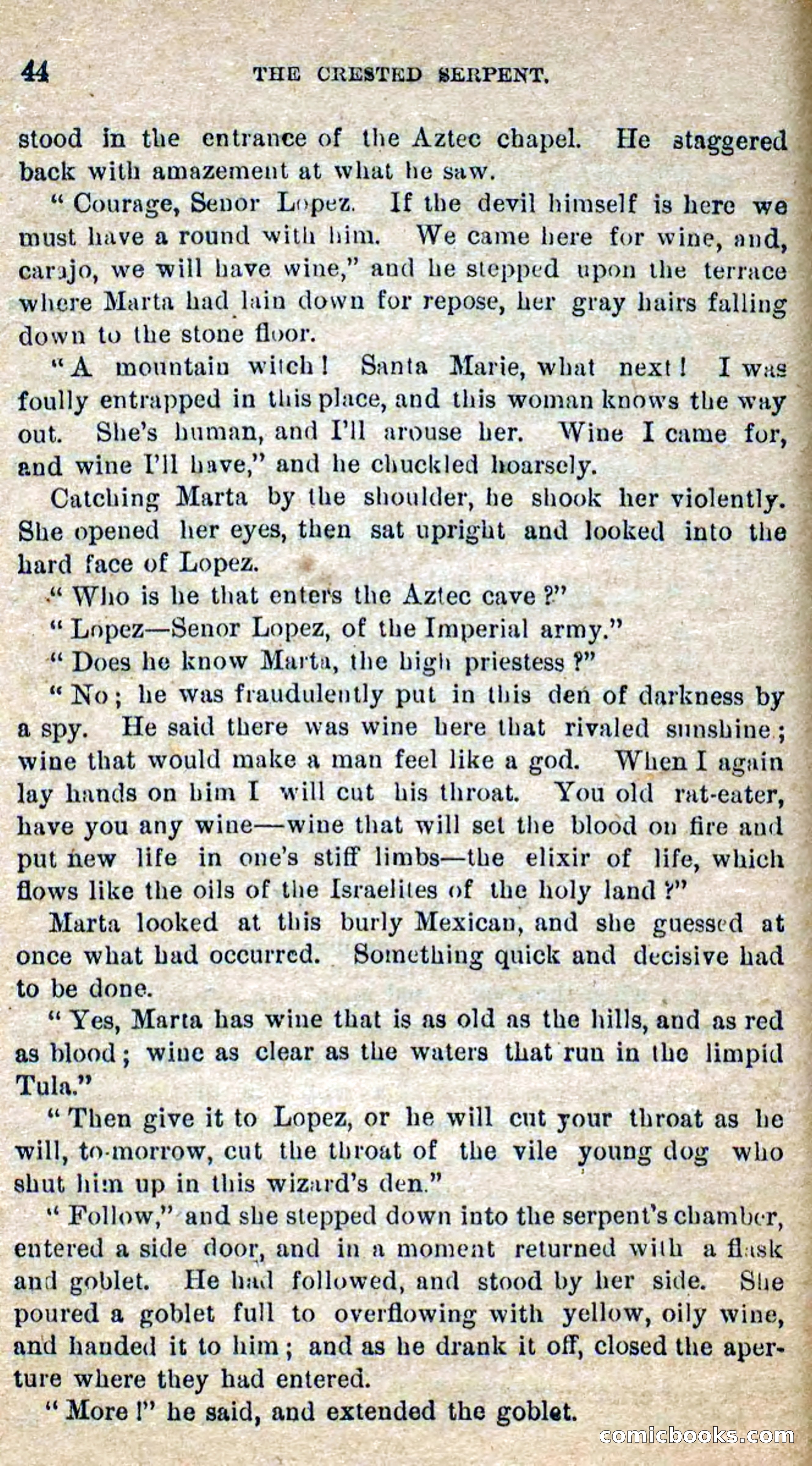 Beadle's Dime Novels No. 300: The Crested Serpent — page 40 of 100