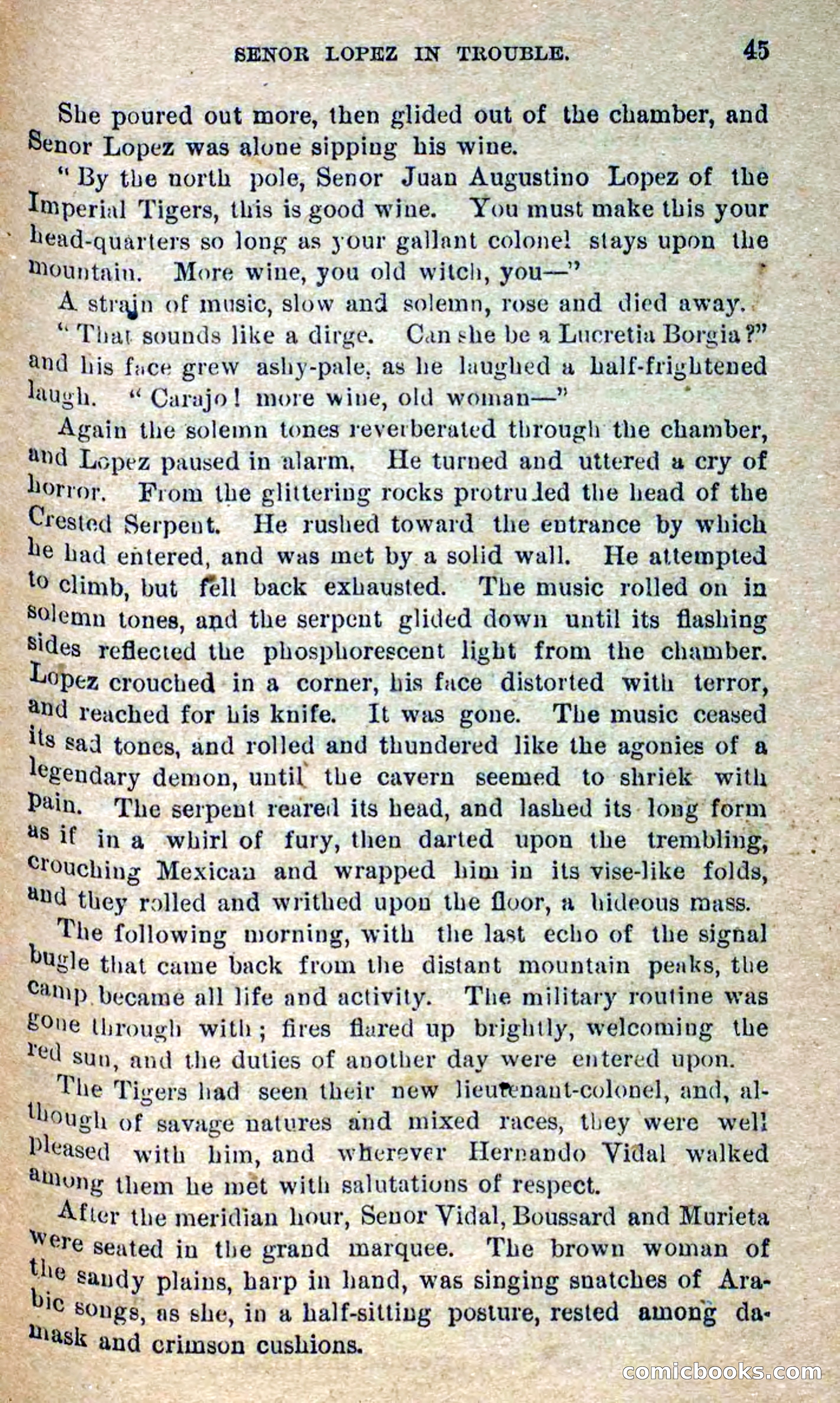 Beadle's Dime Novels No. 300: The Crested Serpent — page 41 of 100