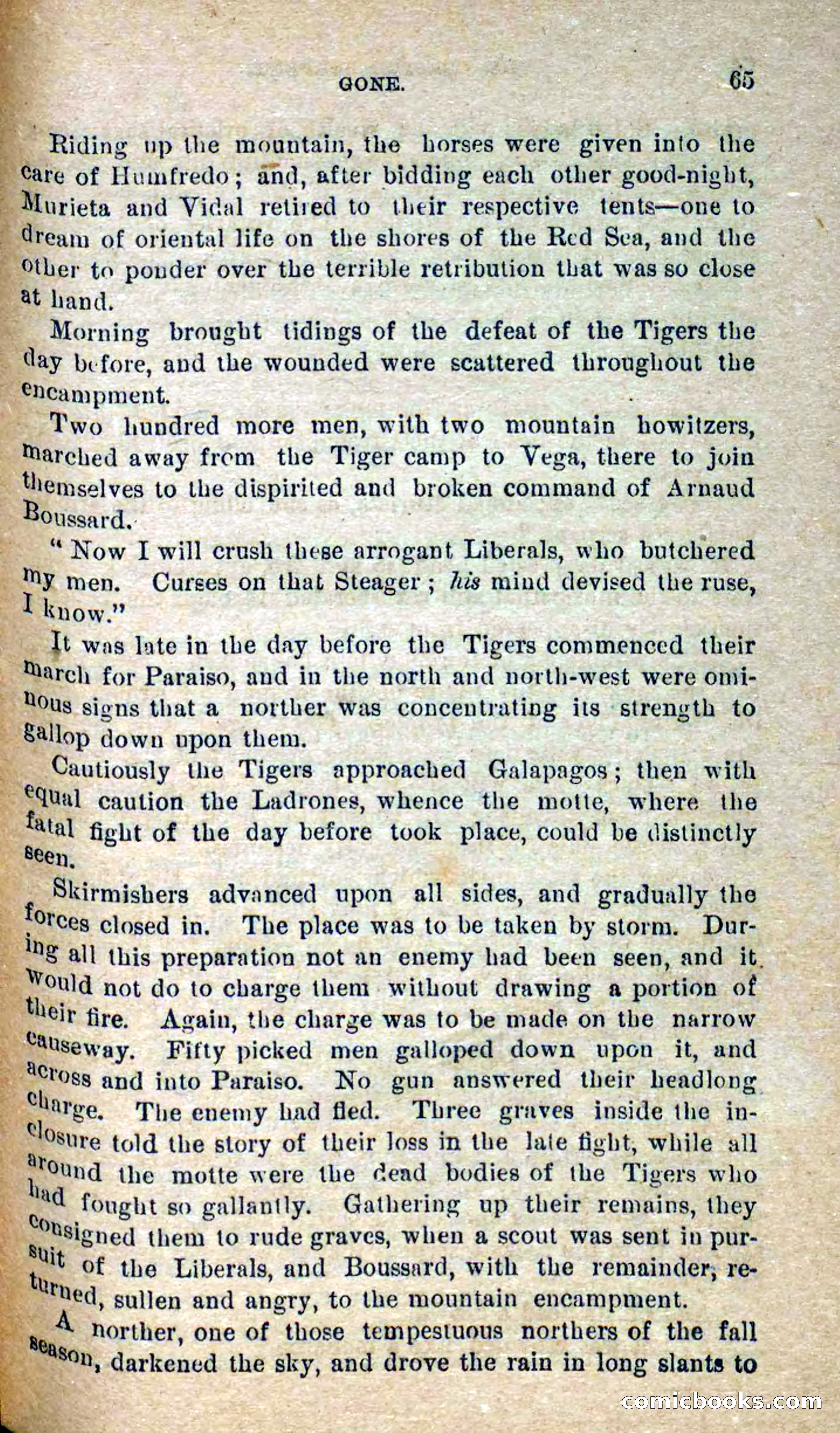 Beadle's Dime Novels No. 300: The Crested Serpent — page 61 of 100