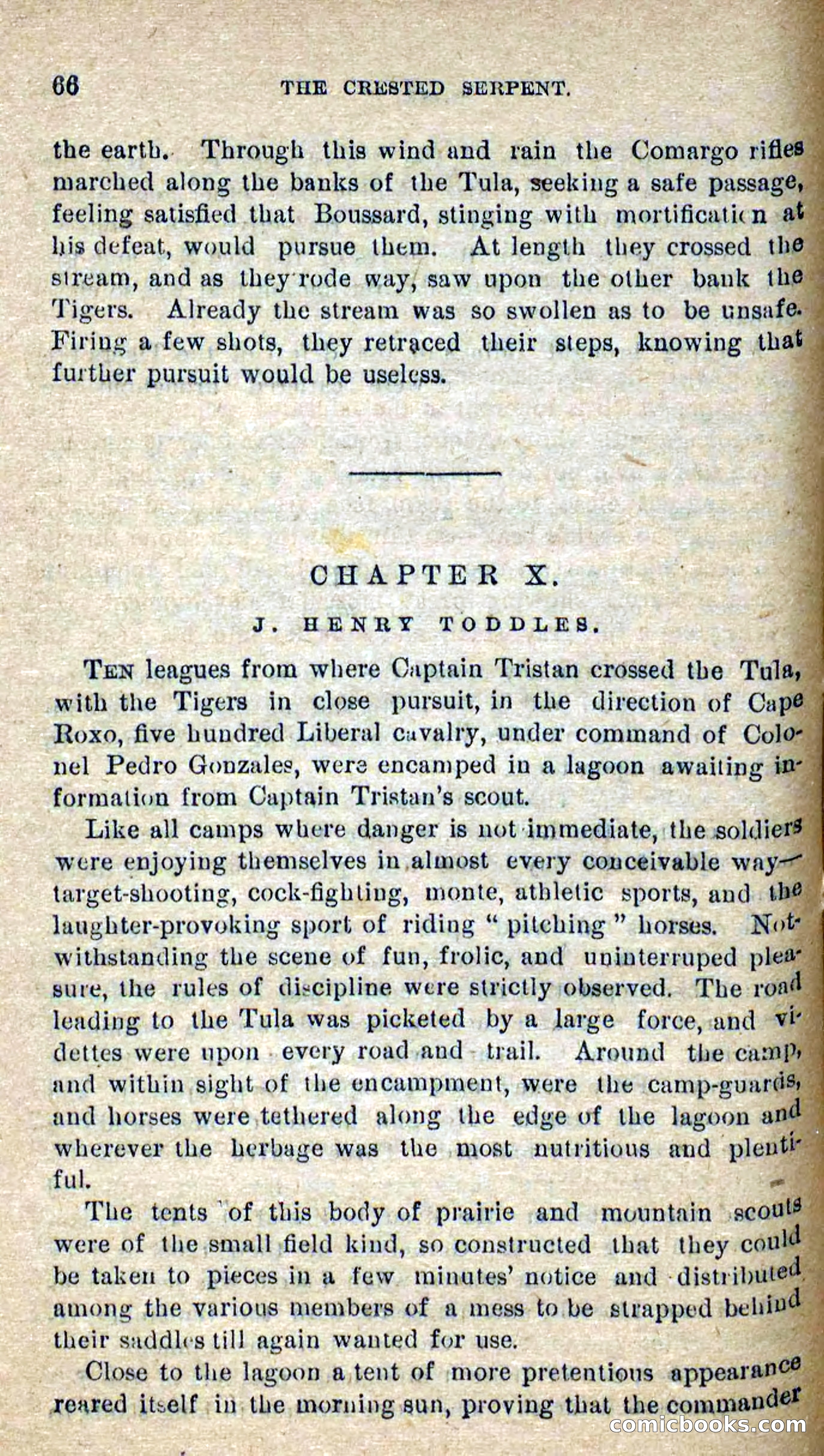 Beadle's Dime Novels No. 300: The Crested Serpent — page 62 of 100