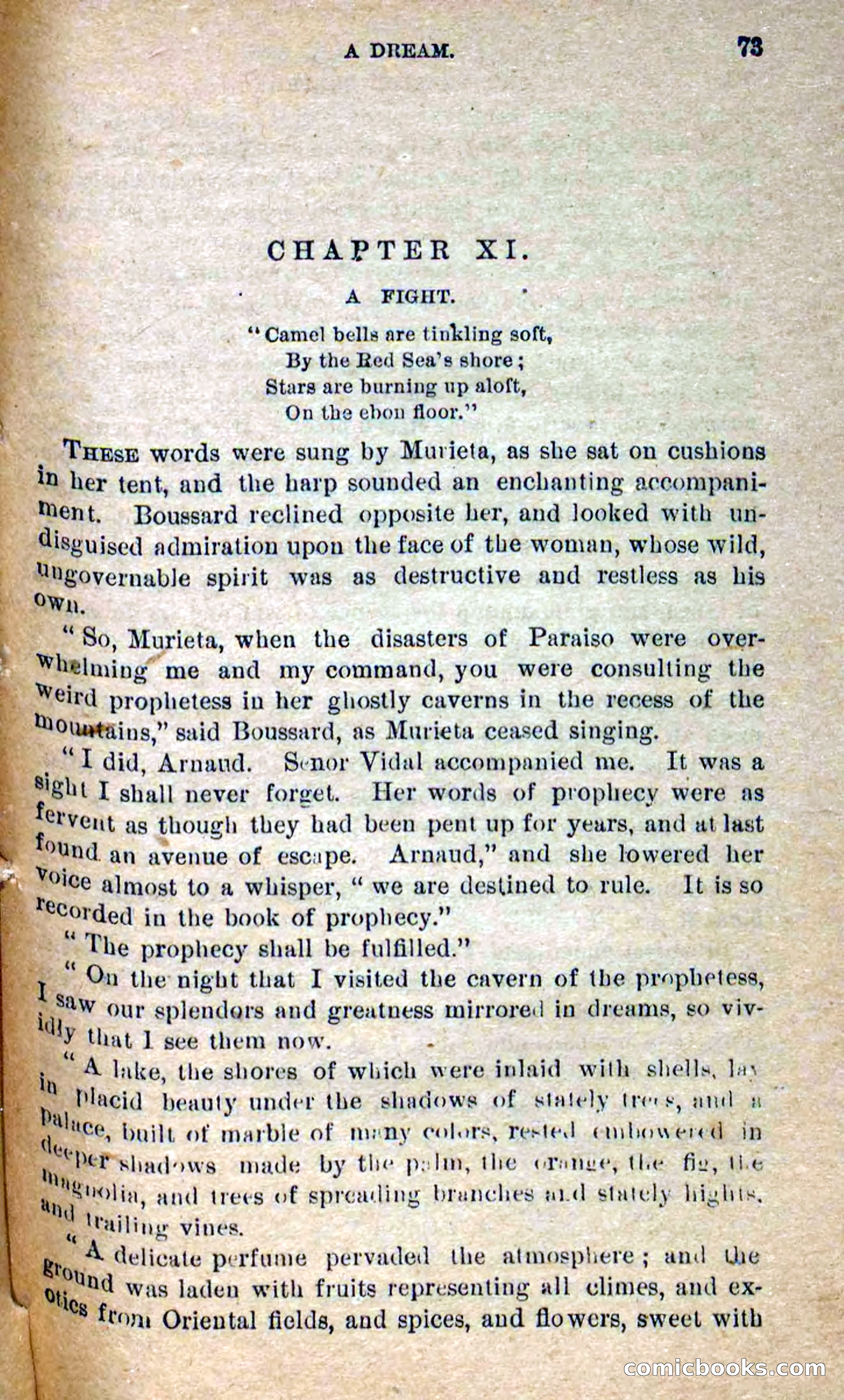 Beadle's Dime Novels No. 300: The Crested Serpent — page 69 of 100