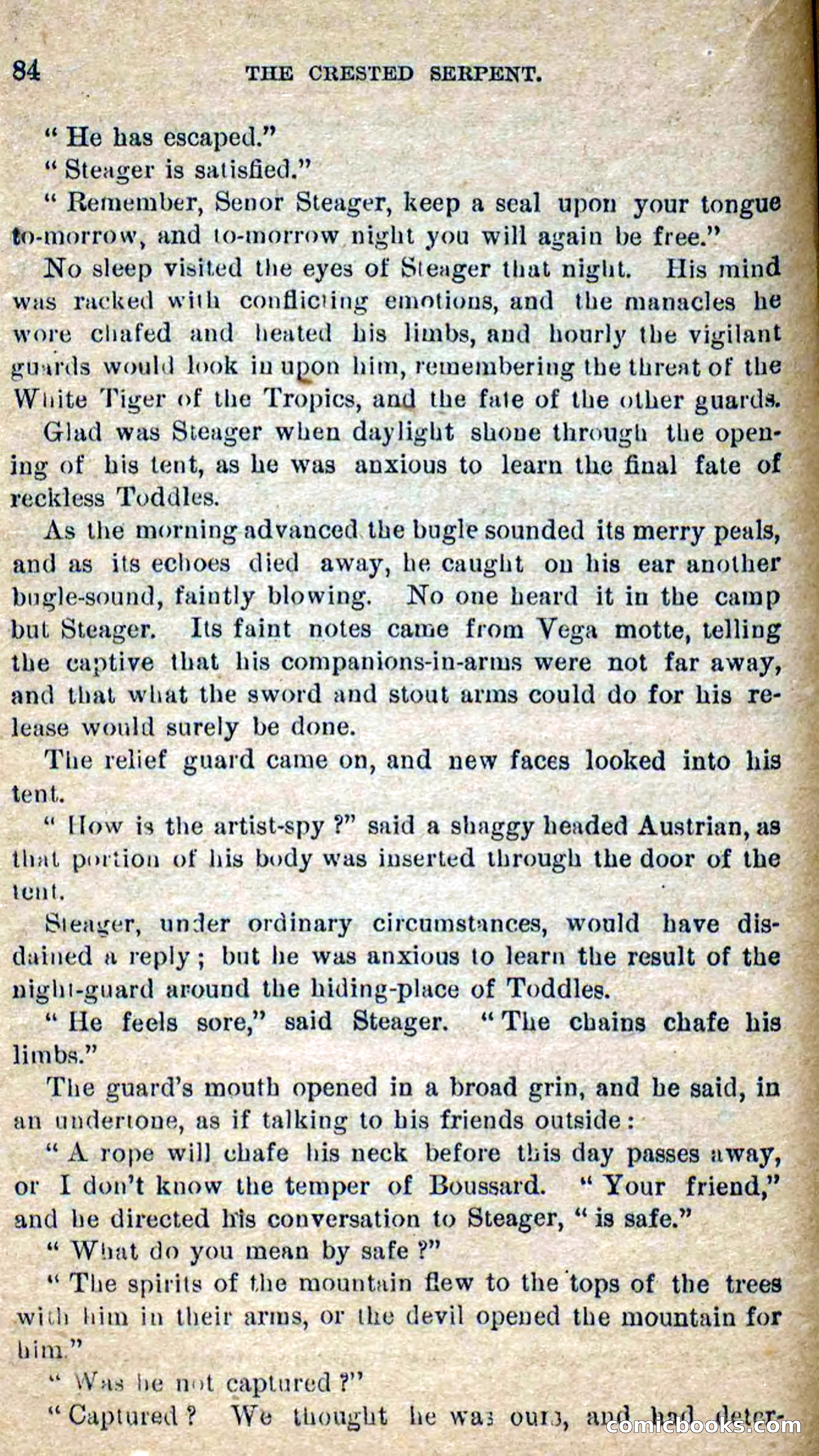 Beadle's Dime Novels No. 300: The Crested Serpent — page 80 of 100