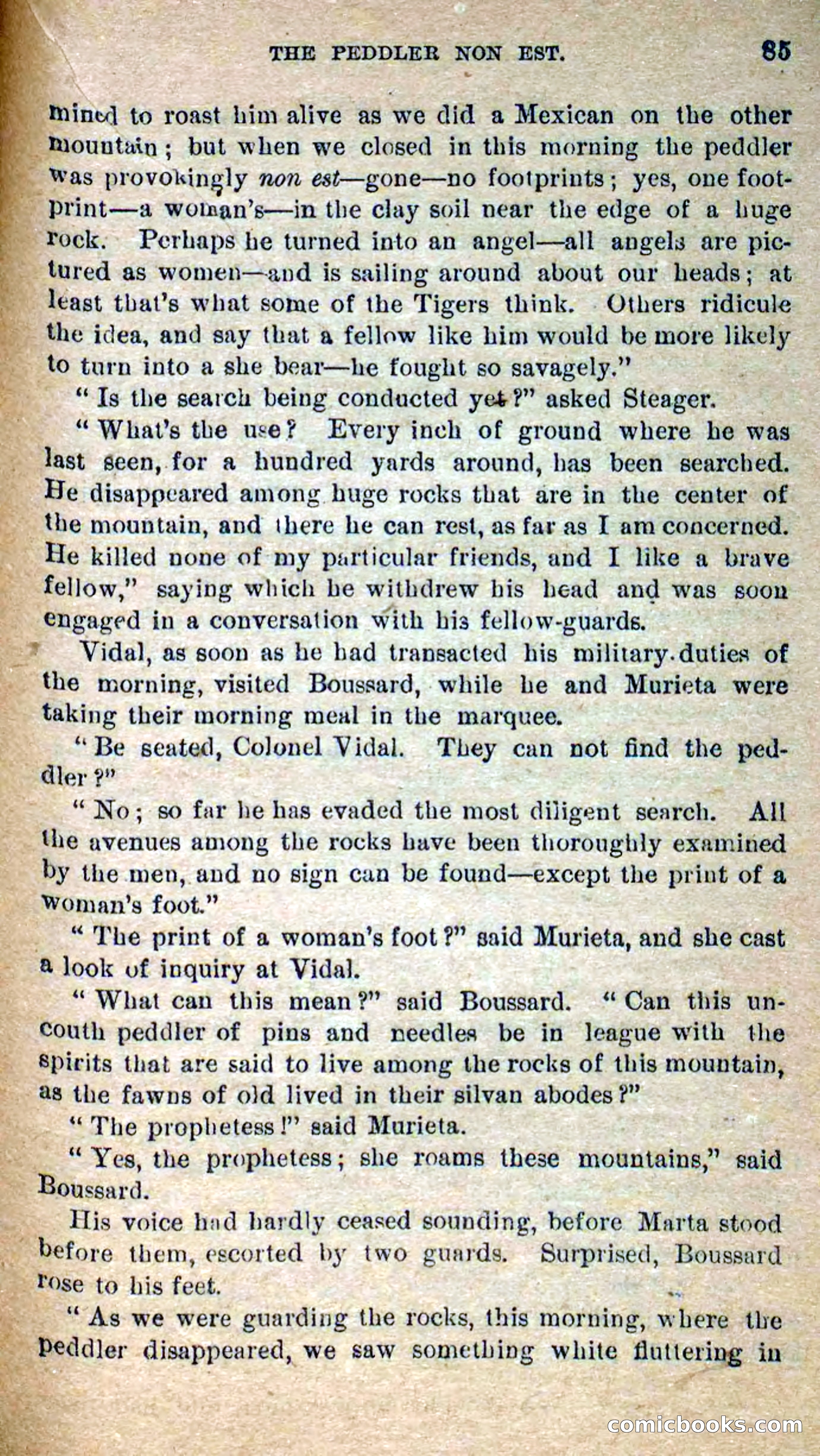 Beadle's Dime Novels No. 300: The Crested Serpent — page 81 of 100
