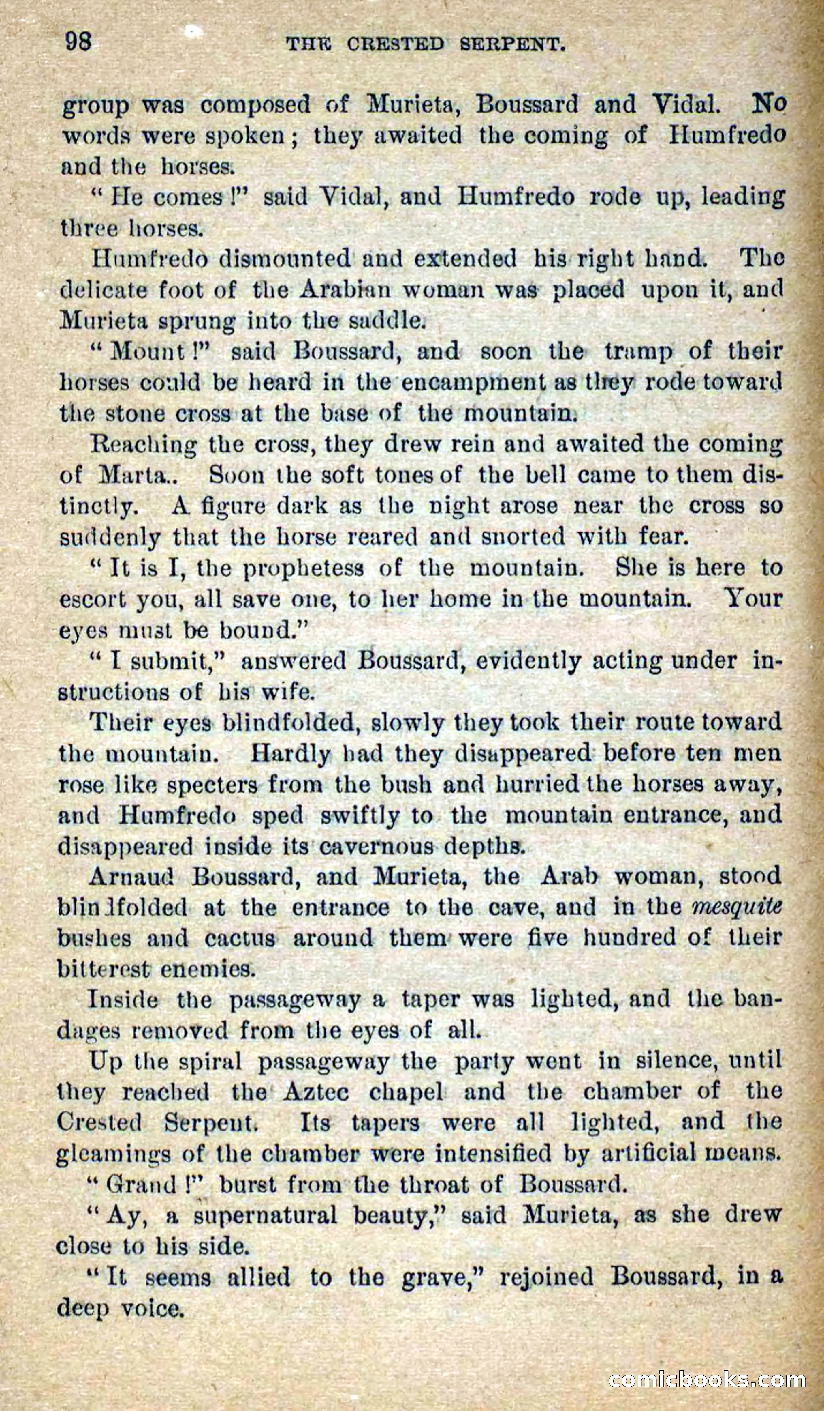 Beadle's Dime Novels No. 300: The Crested Serpent — page 94 of 100