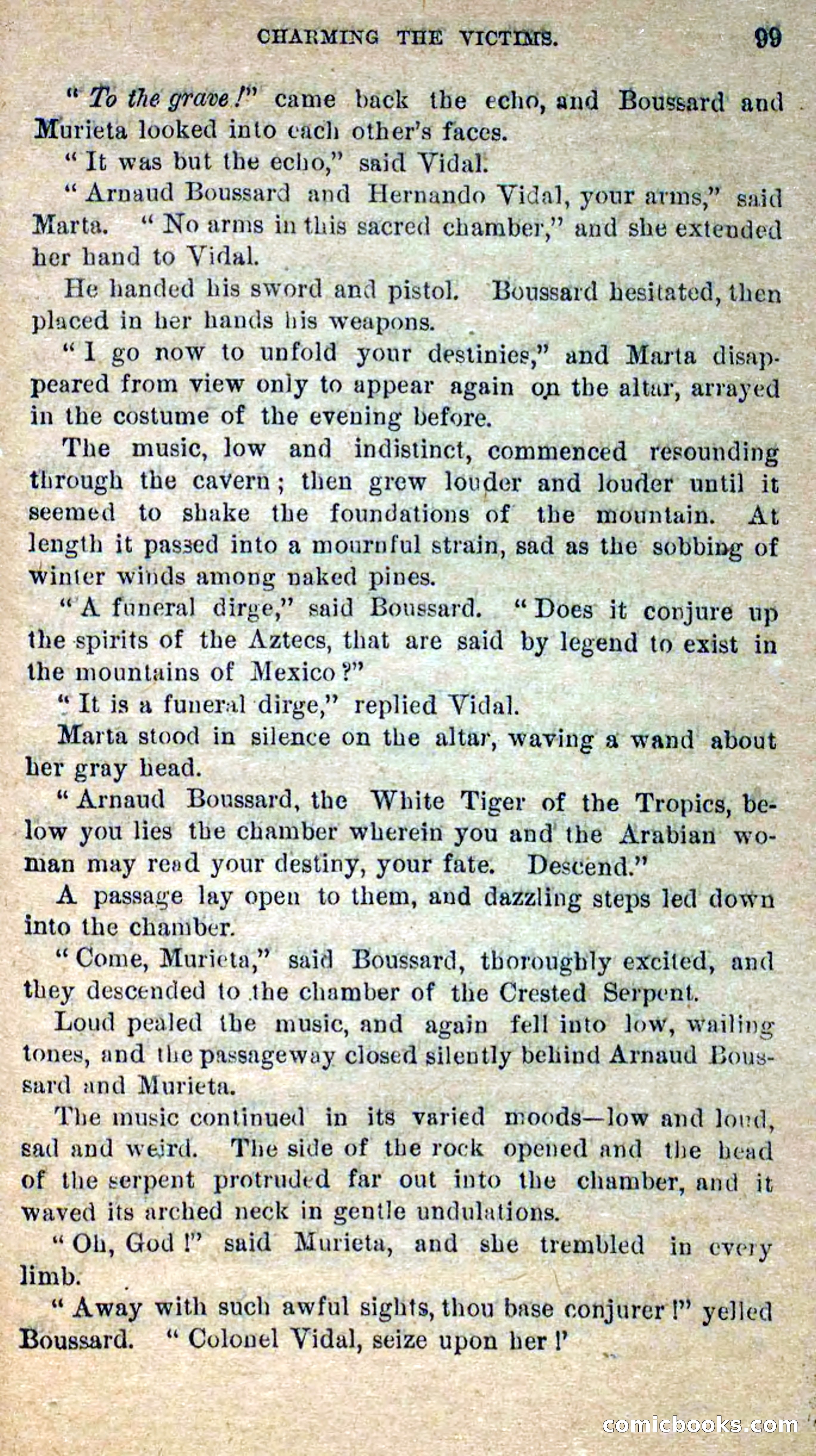 Beadle's Dime Novels No. 300: The Crested Serpent — page 95 of 100