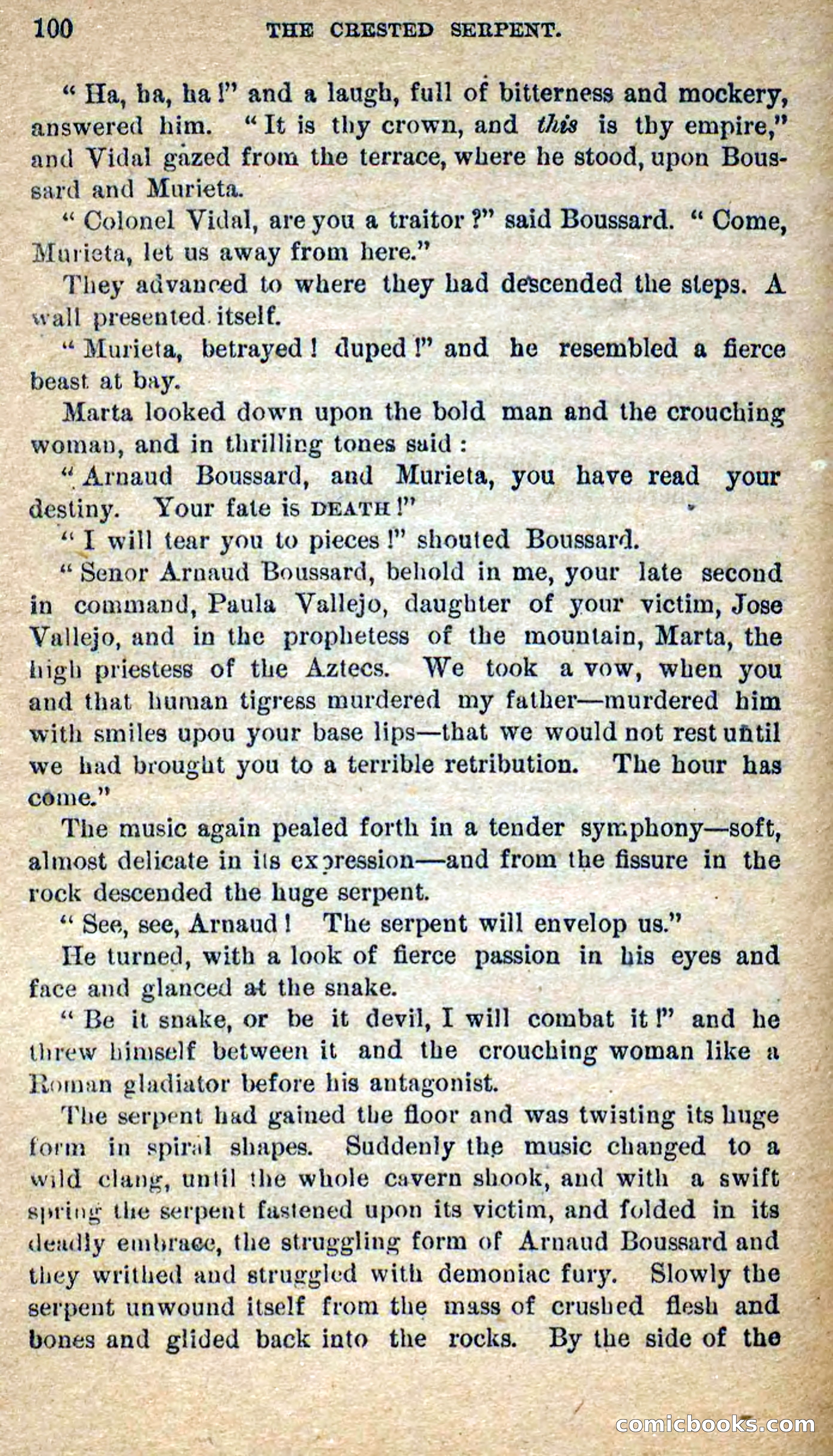 Beadle's Dime Novels No. 300: The Crested Serpent — page 96 of 100