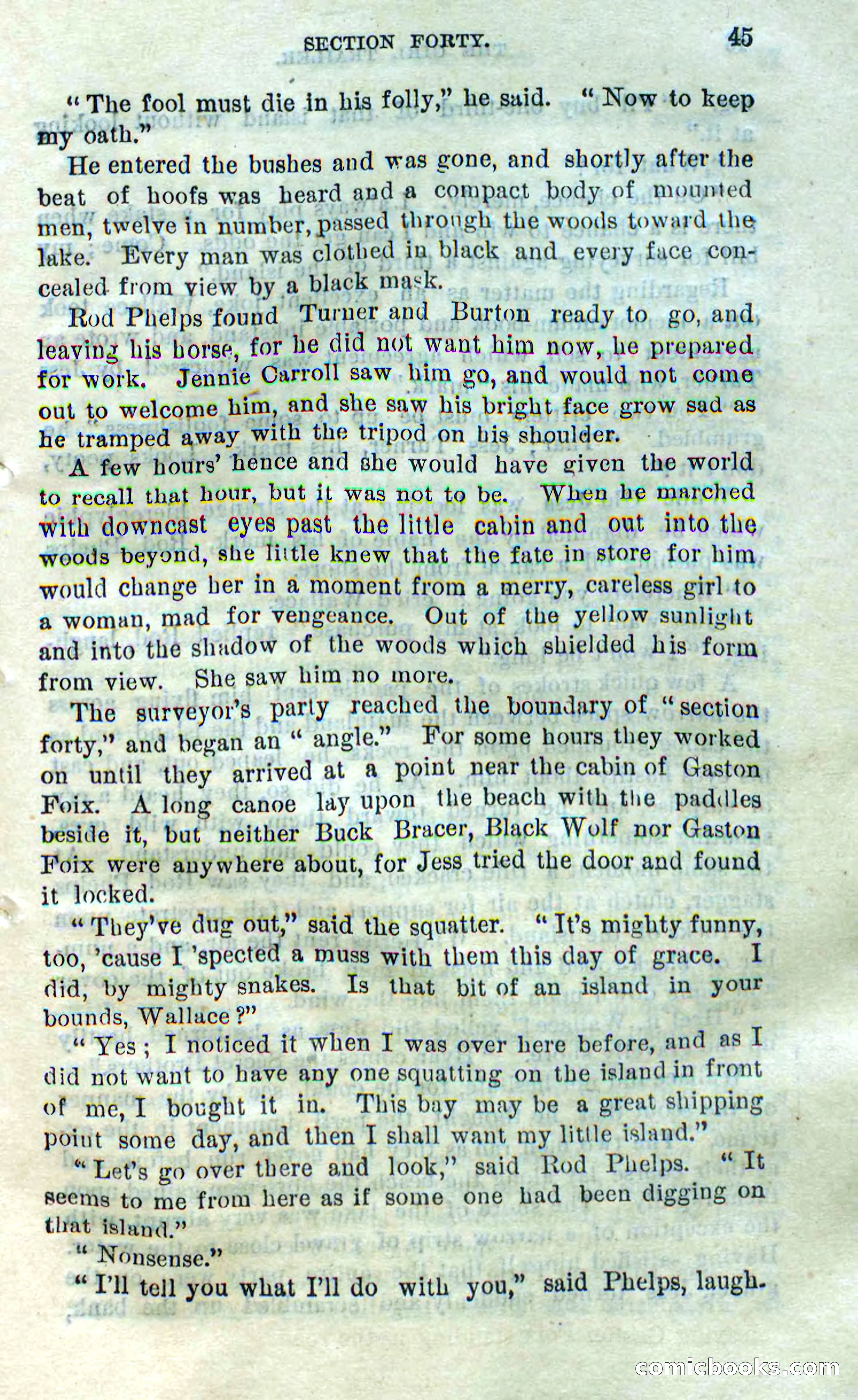 Beadle's Dime Novels No. 305: The Girl Scout — page 41 of 100