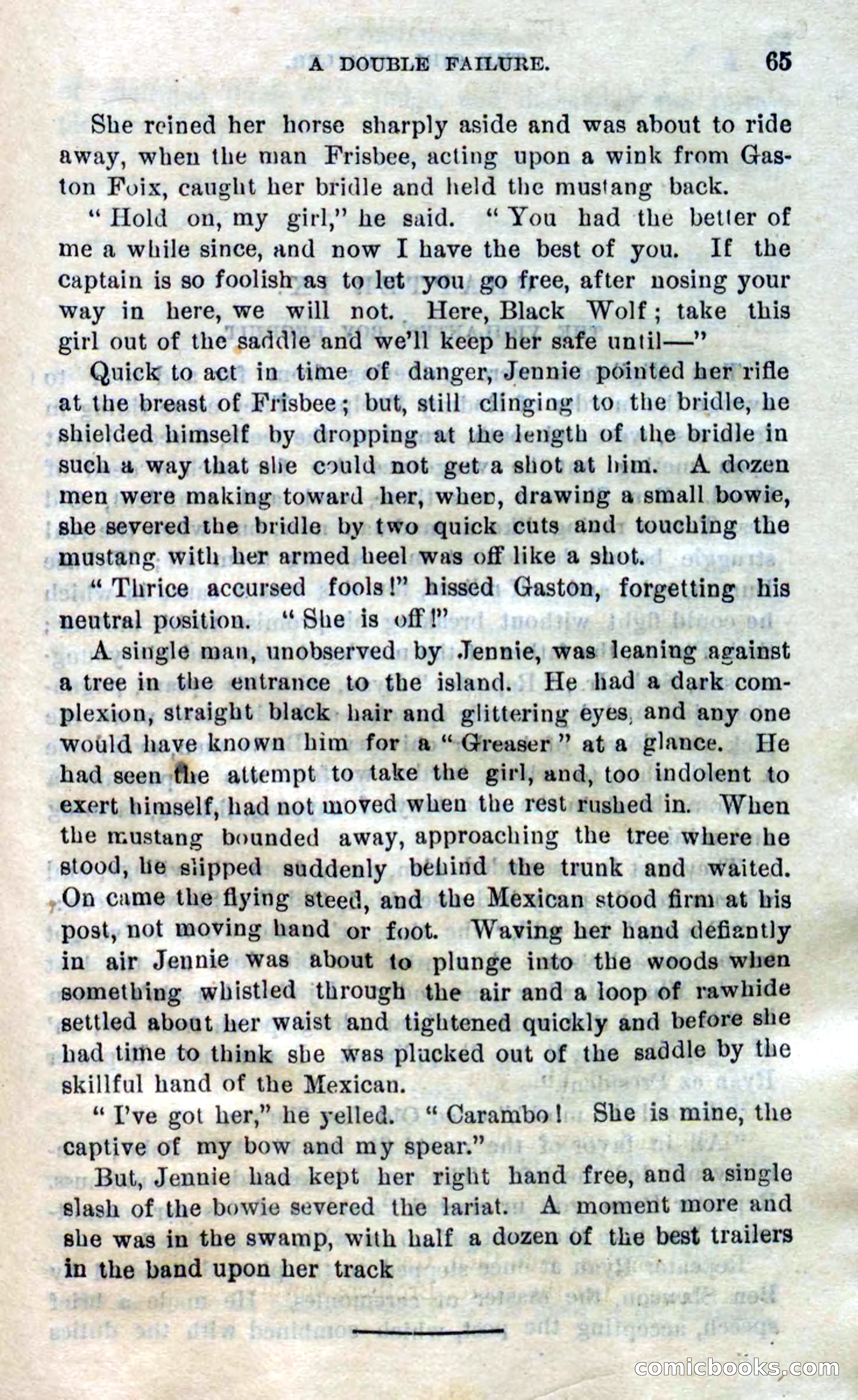 Beadle's Dime Novels No. 305: The Girl Scout — page 61 of 100