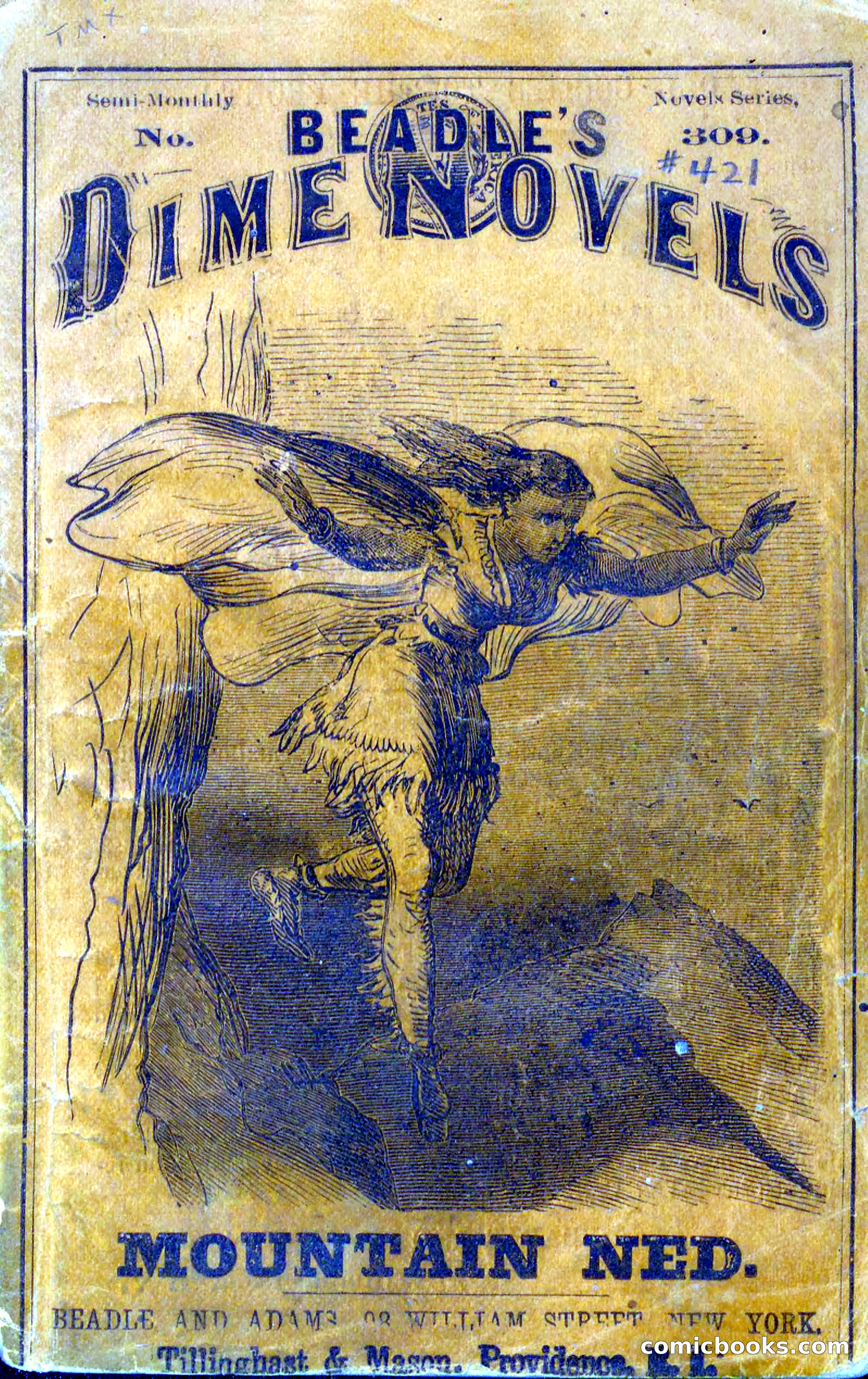 Beadle's Dime Novels No. 309: Mountain Ned