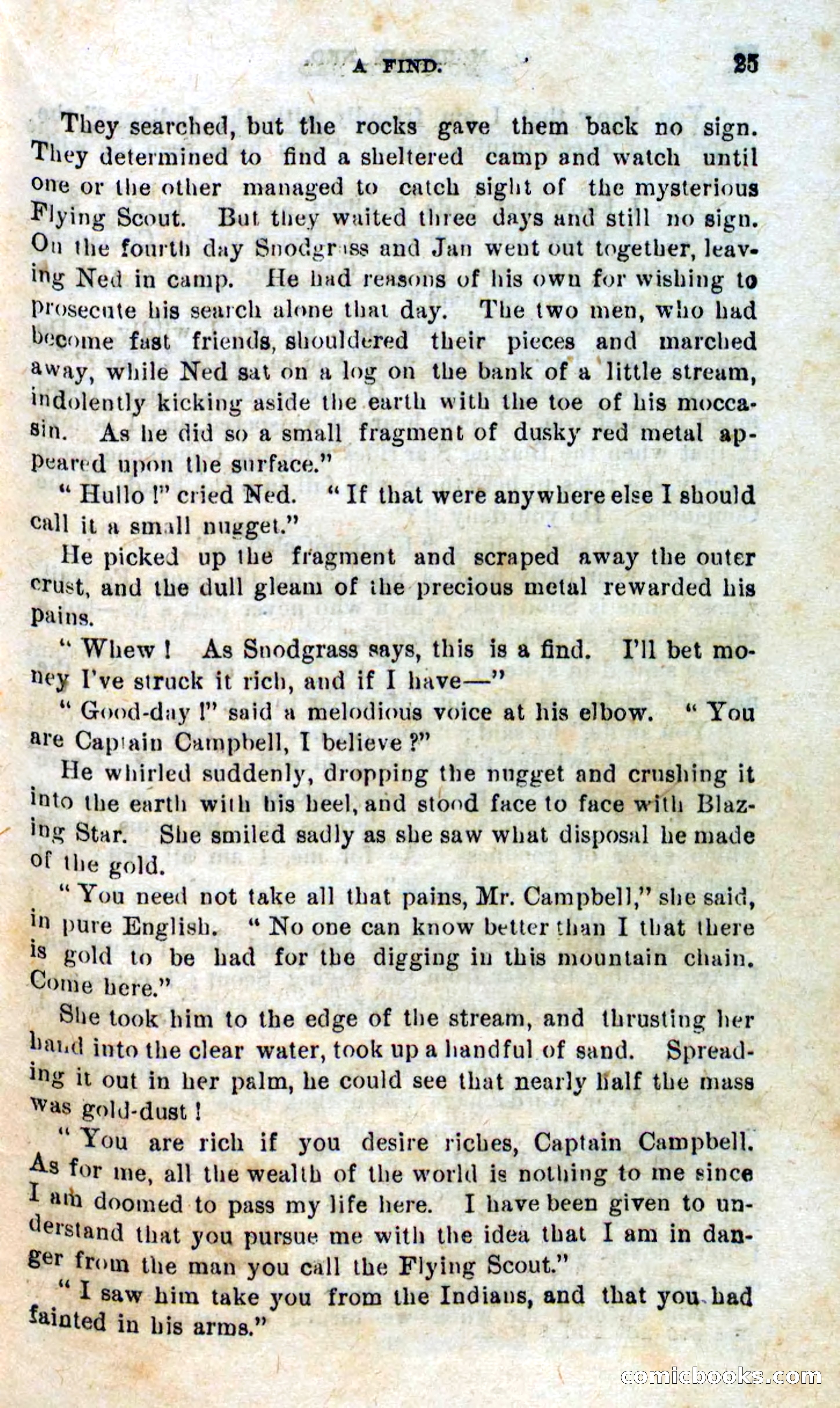 Beadle's Dime Novels No. 309: Mountain Ned — page 23 of 100