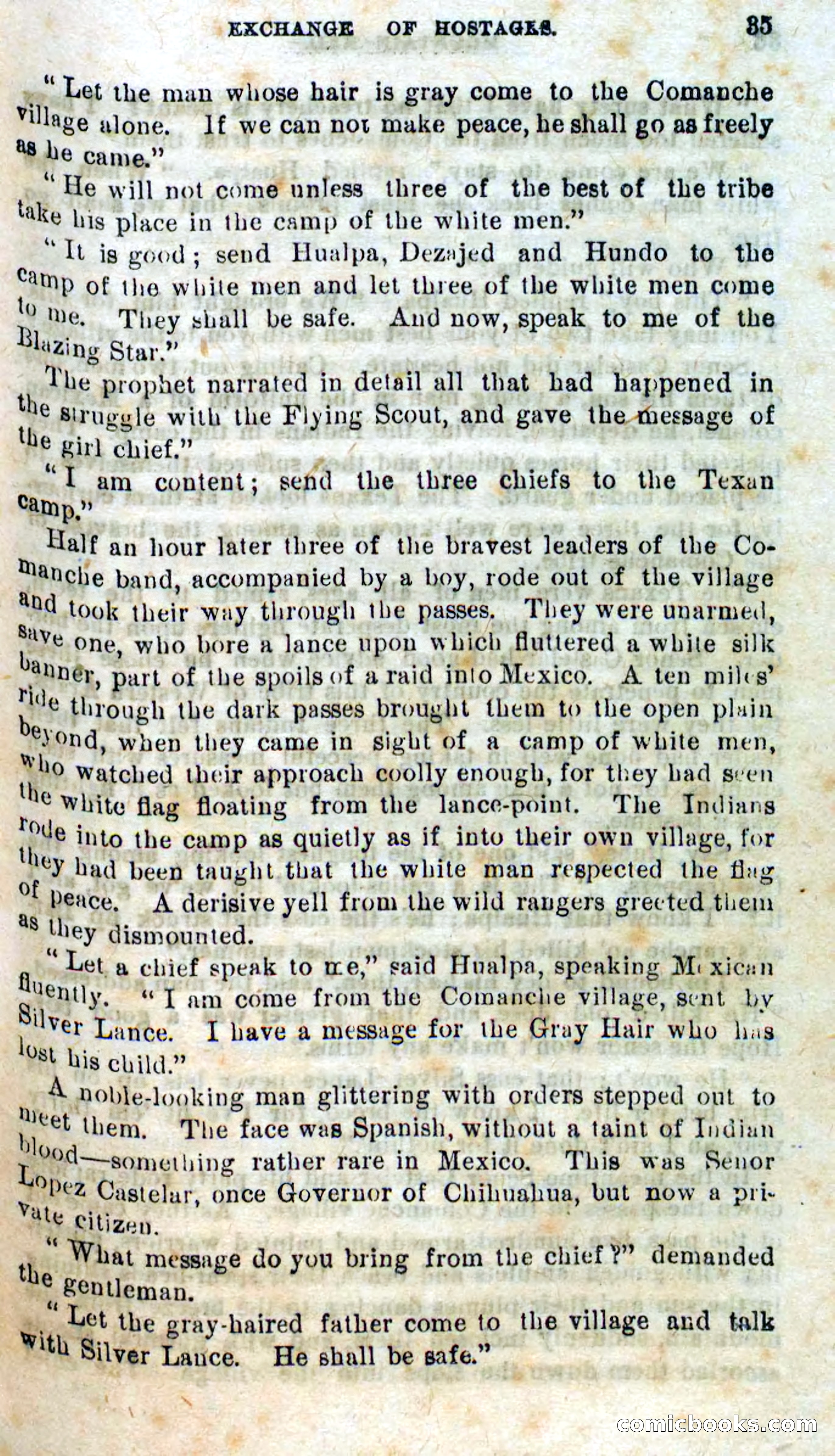 Beadle's Dime Novels No. 309: Mountain Ned — page 33 of 100
