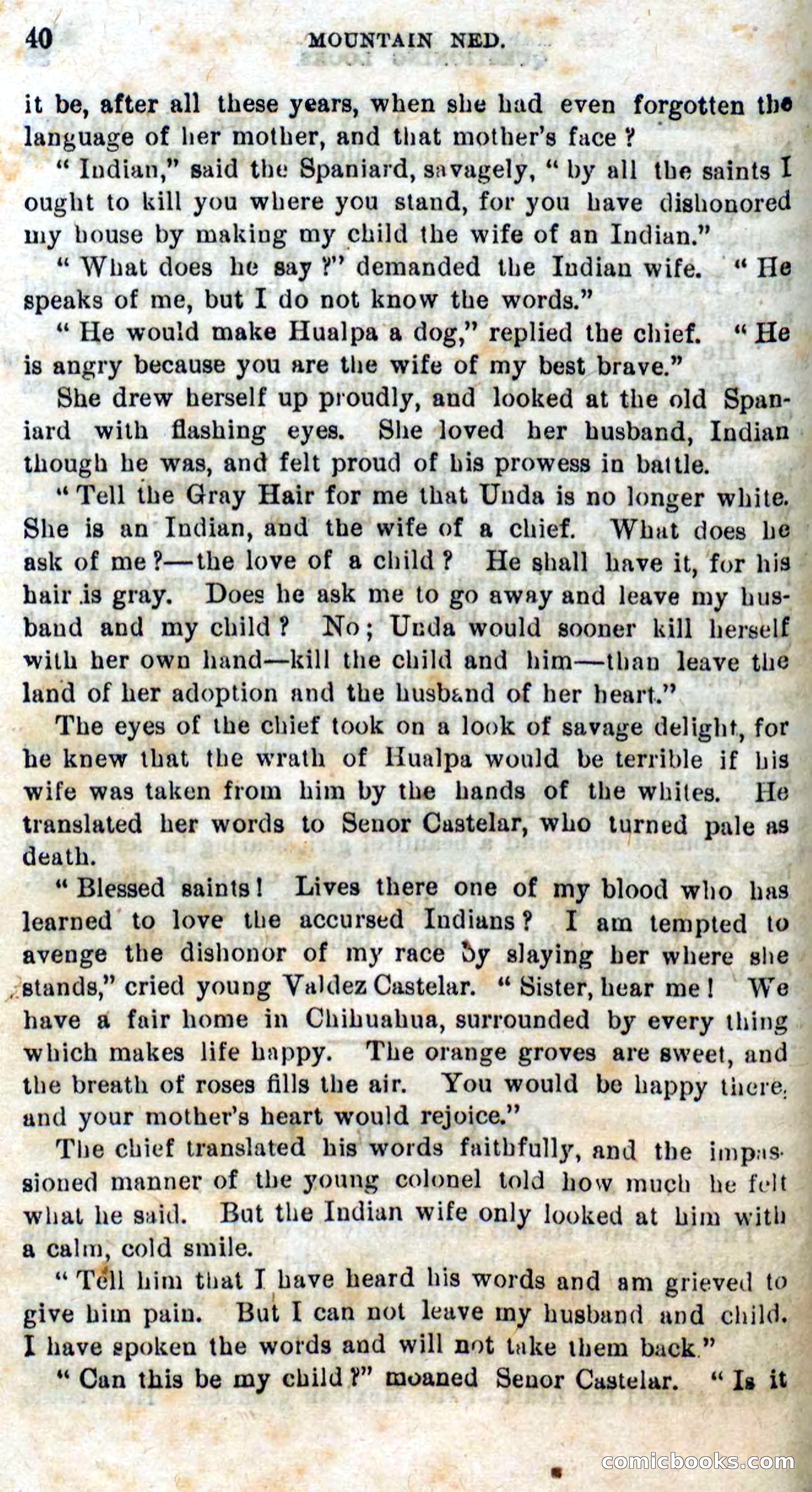 Beadle's Dime Novels No. 309: Mountain Ned — page 38 of 100
