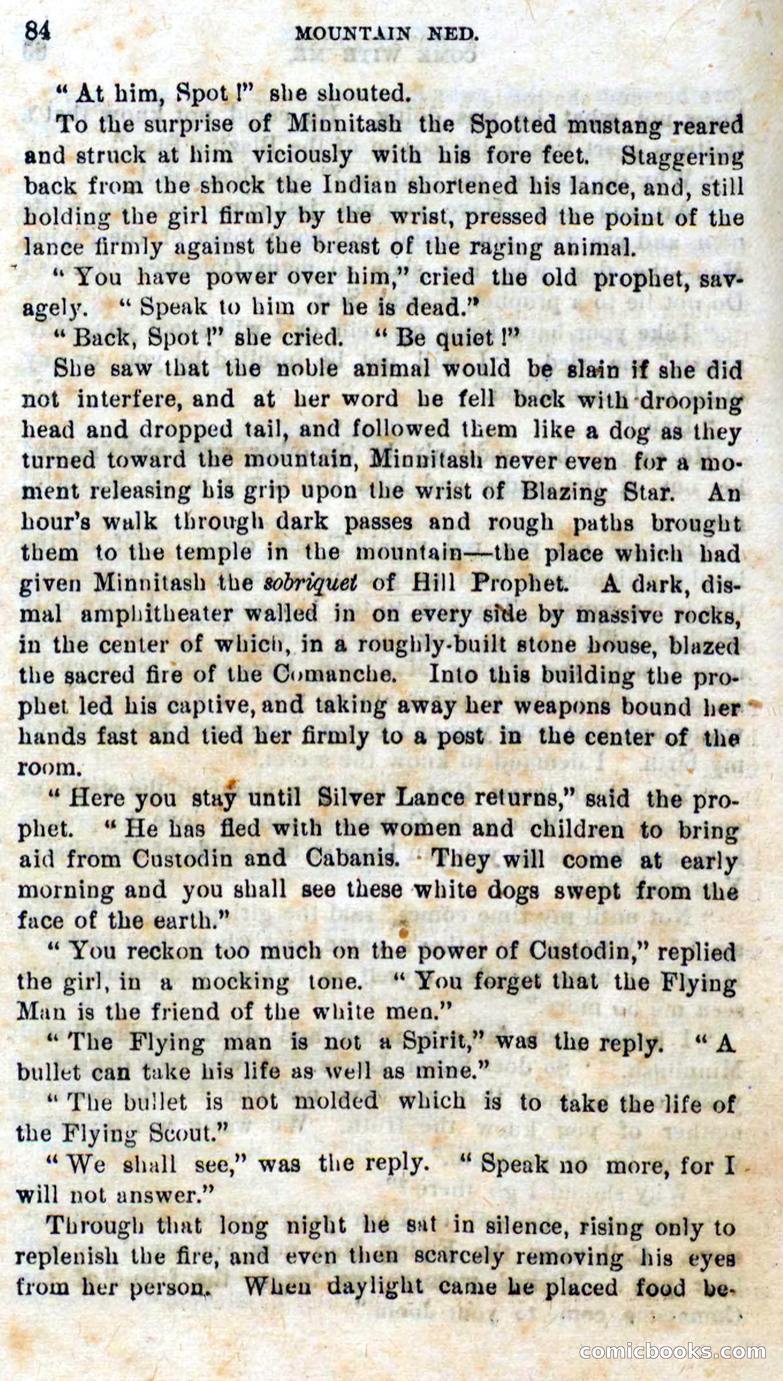 Beadle's Dime Novels No. 309: Mountain Ned — page 82 of 100