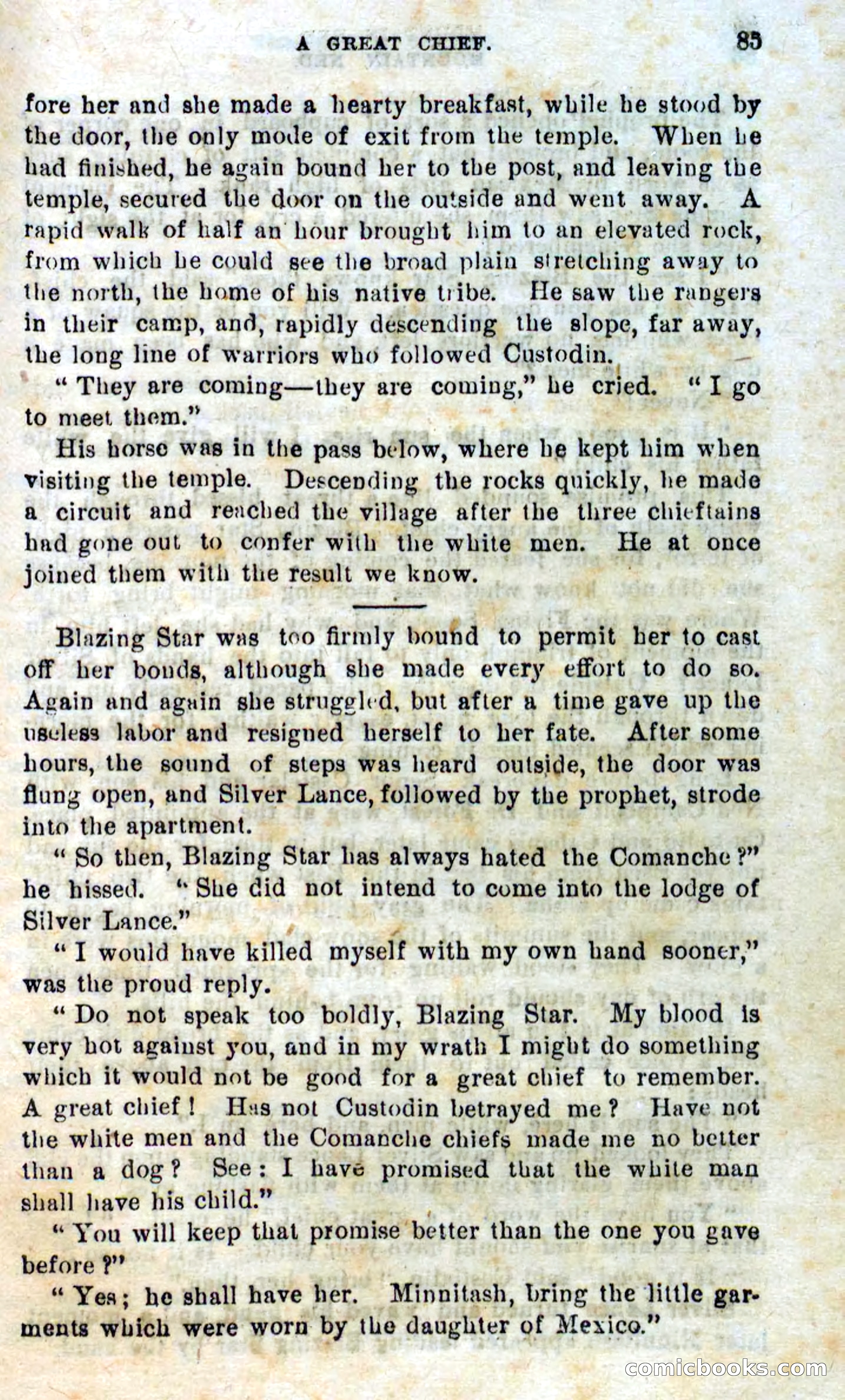 Beadle's Dime Novels No. 309: Mountain Ned — page 83 of 100