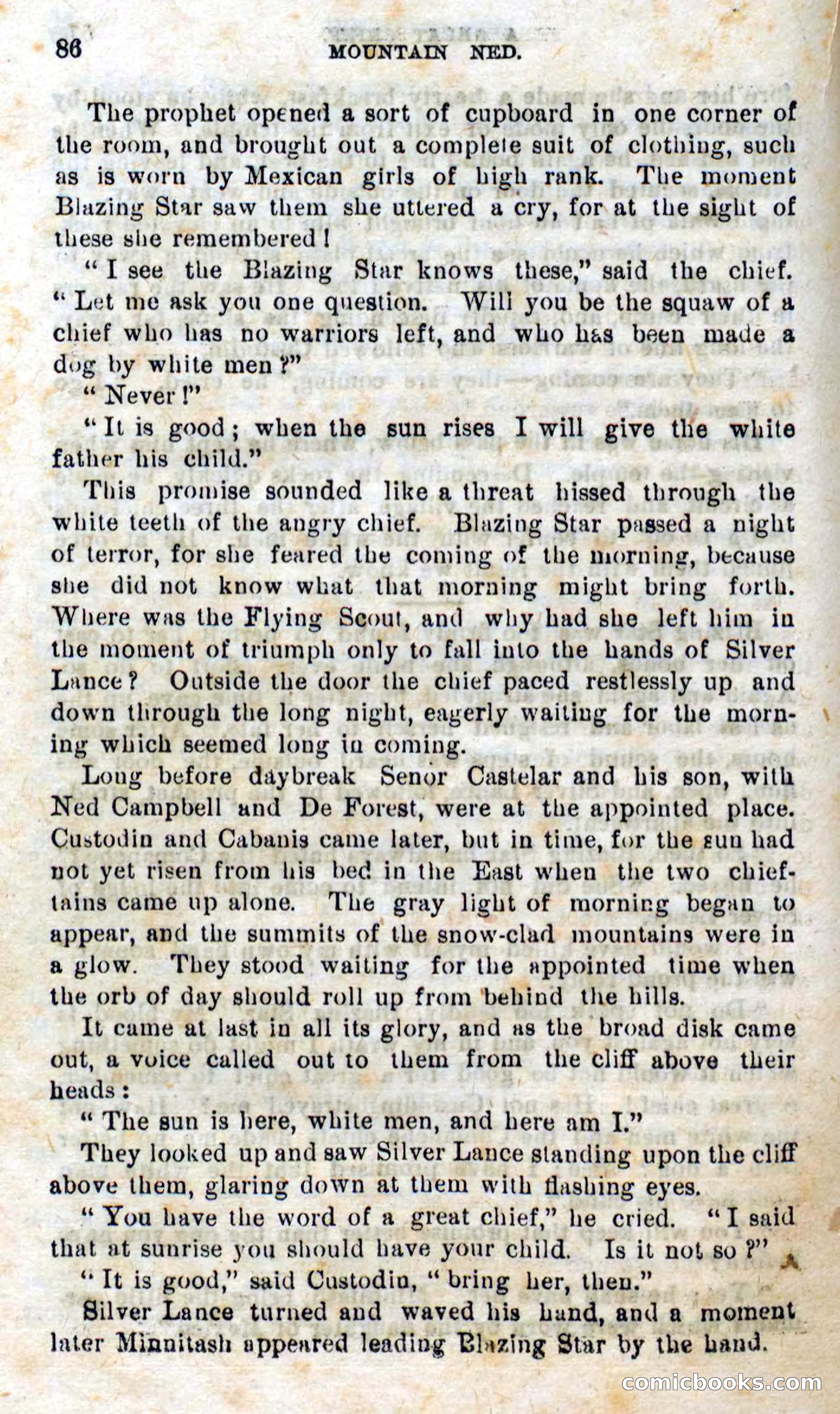 Beadle's Dime Novels No. 309: Mountain Ned — page 84 of 100