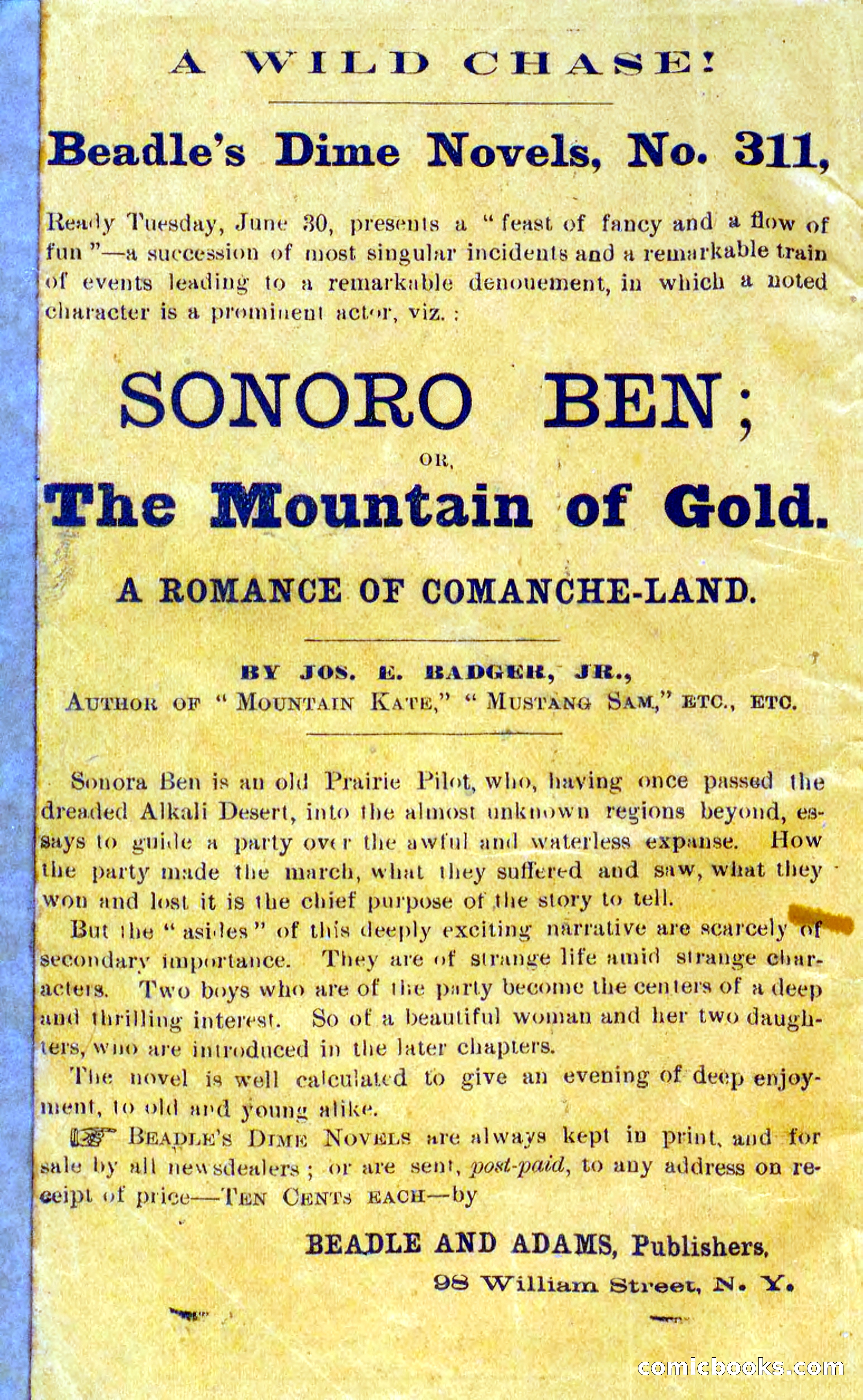 Beadle's Dime Novels No. 310: Foghorn Phil — page 2 of 94