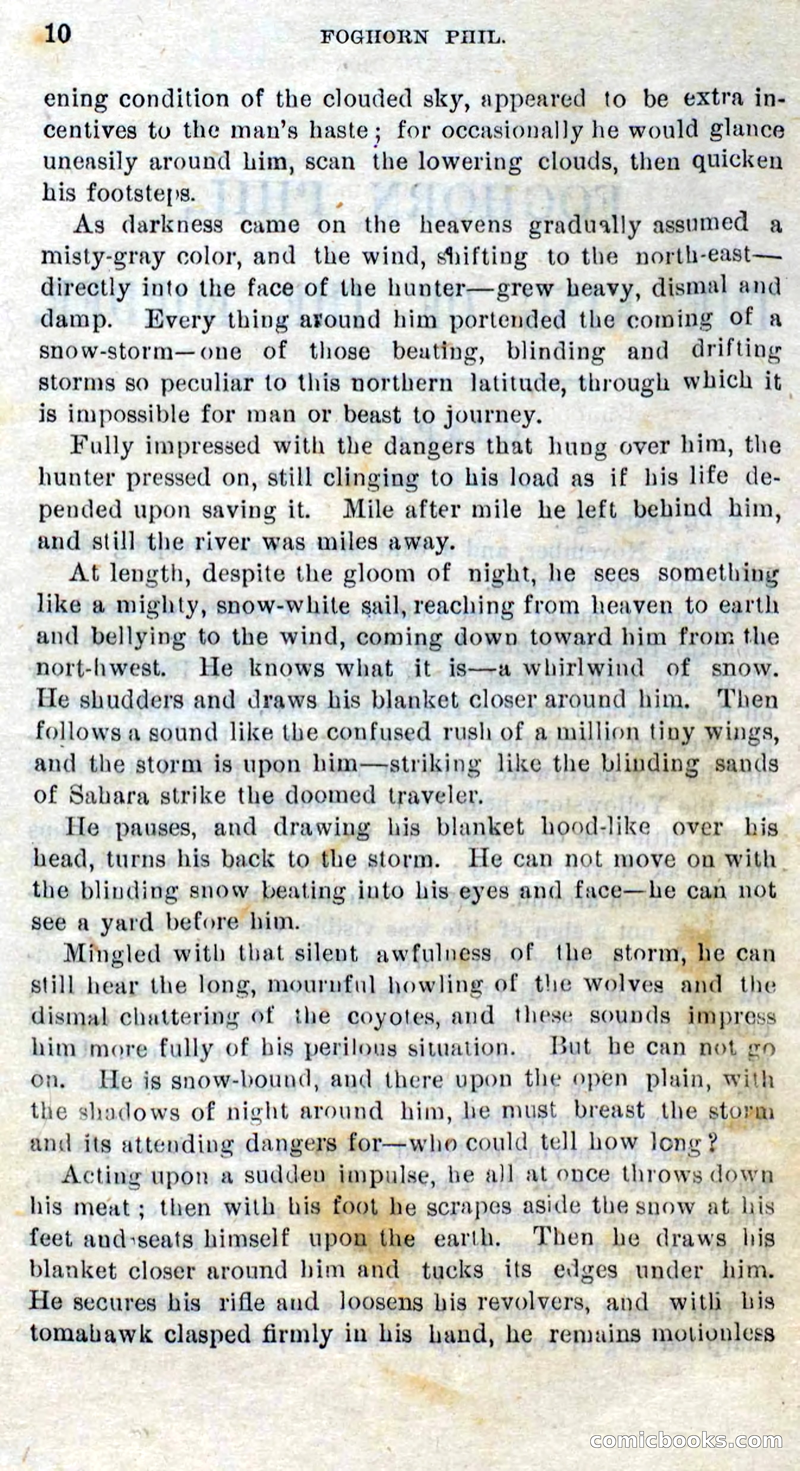 Beadle's Dime Novels No. 310: Foghorn Phil — page 8 of 94