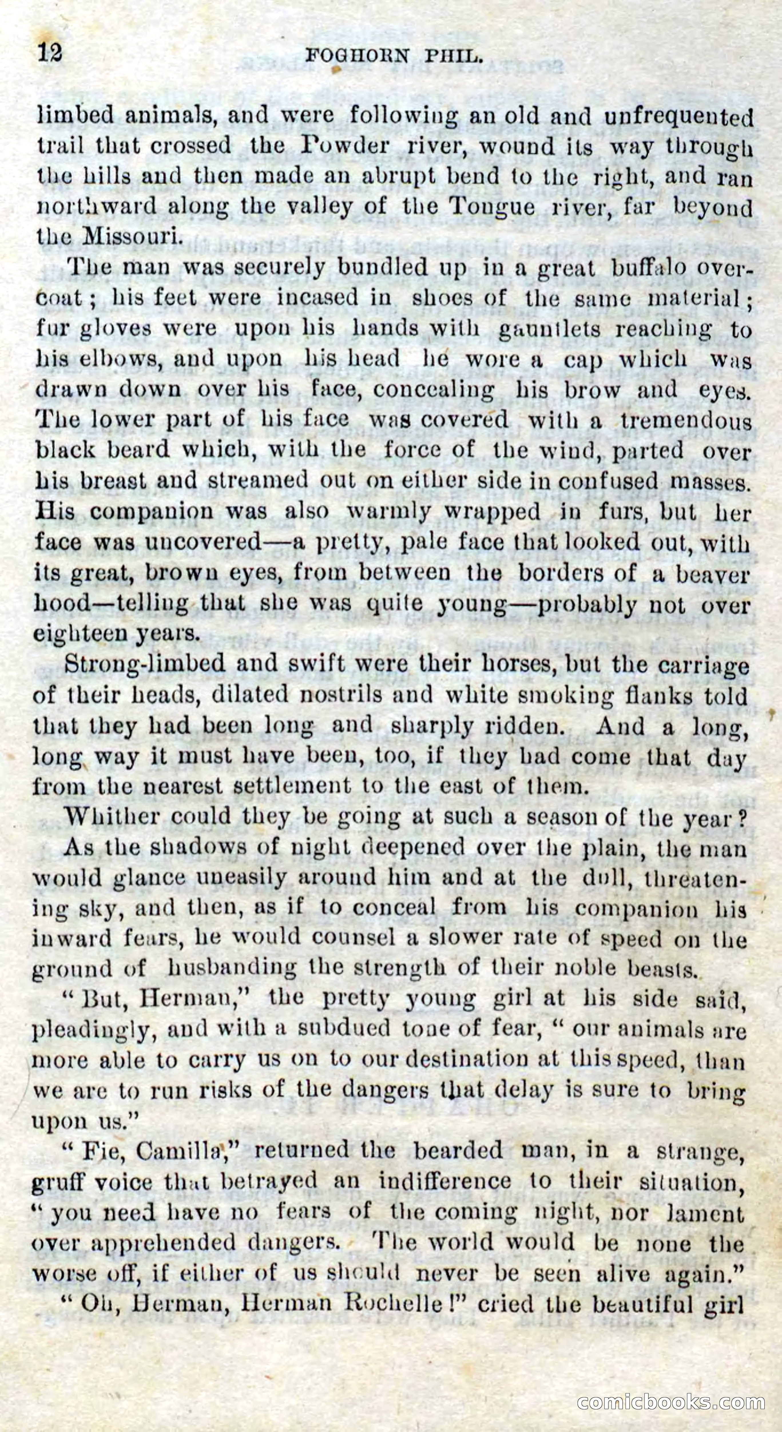 Beadle's Dime Novels No. 310: Foghorn Phil — page 10 of 94