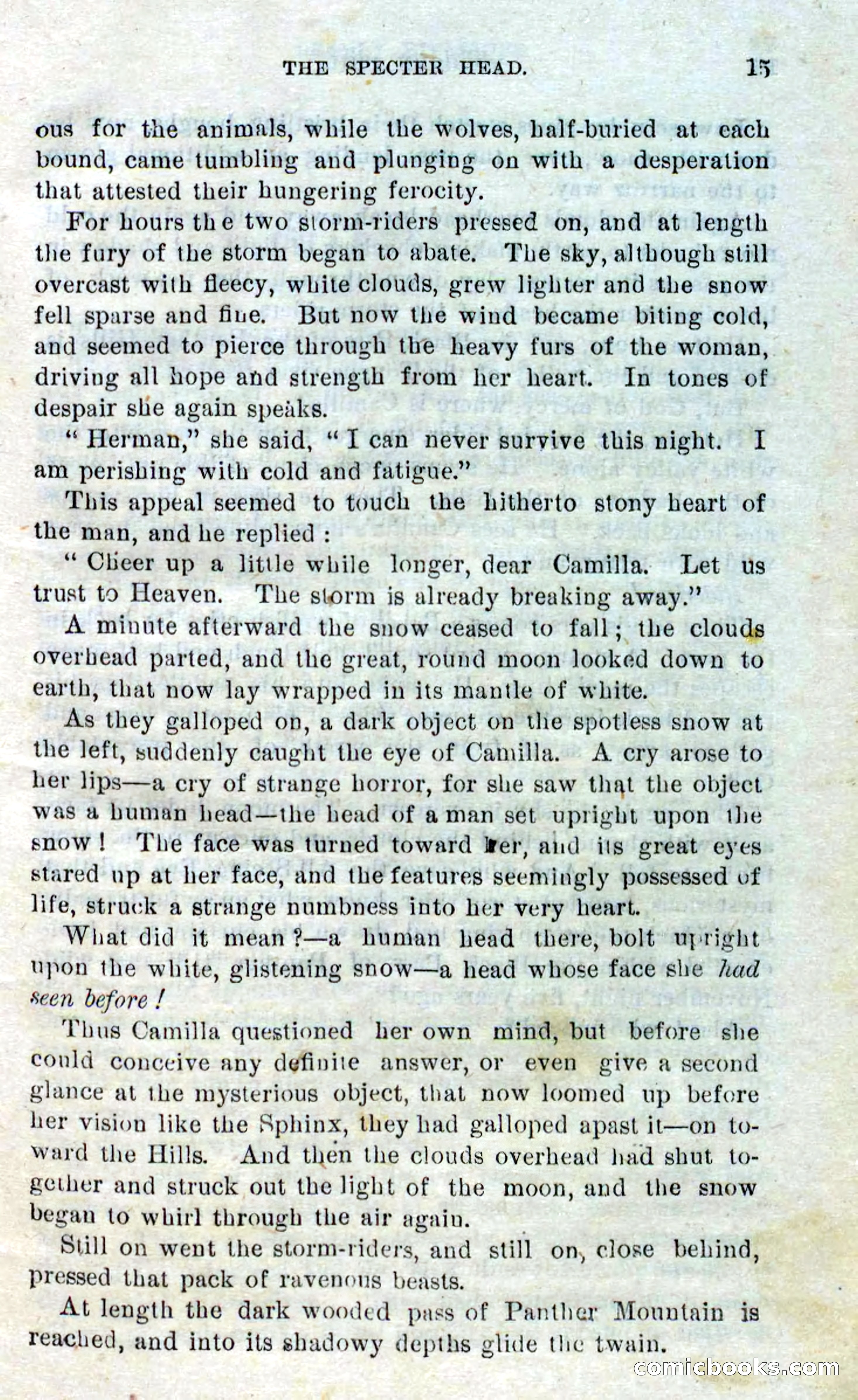 Beadle's Dime Novels No. 310: Foghorn Phil — page 13 of 94