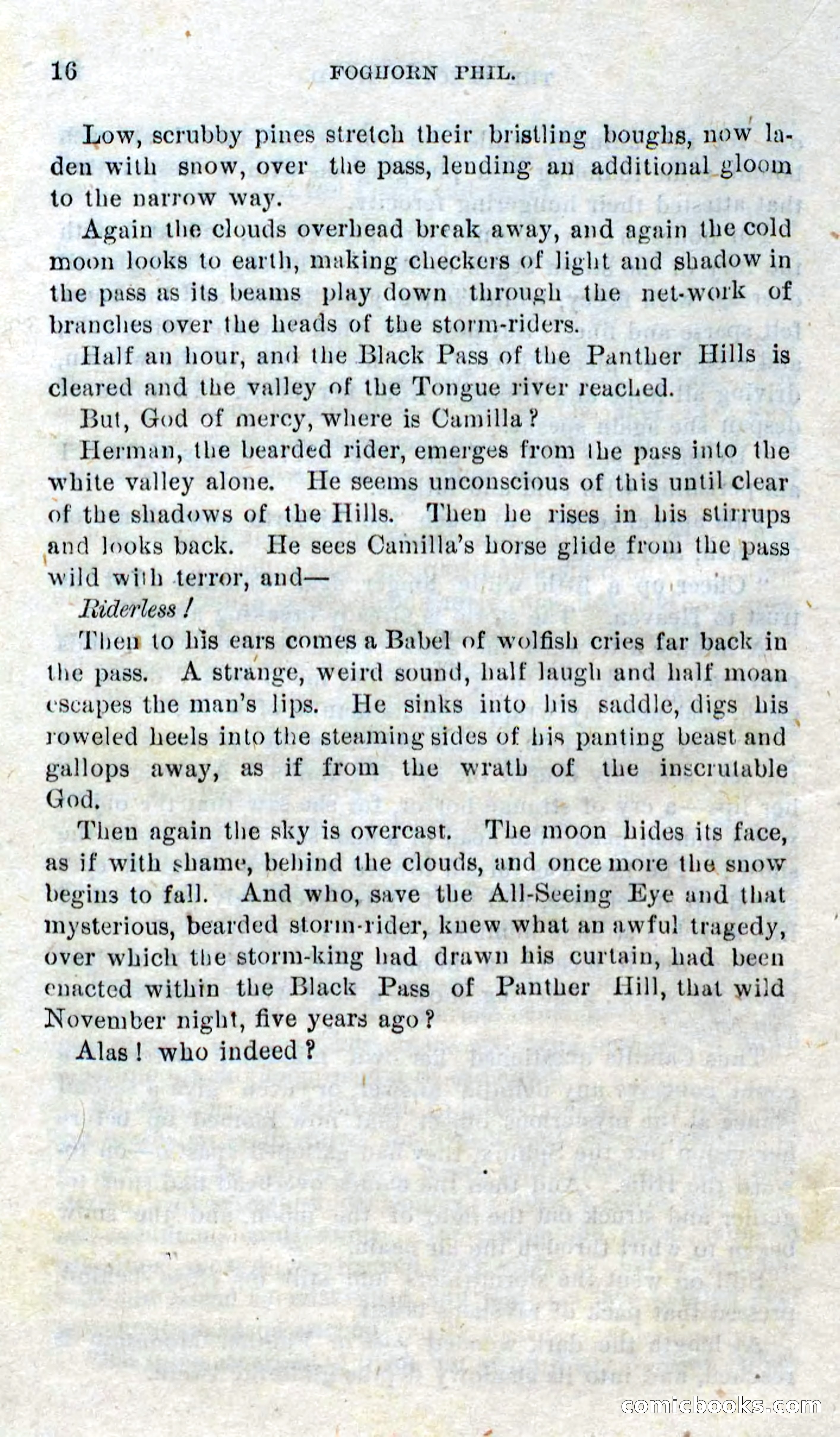 Beadle's Dime Novels No. 310: Foghorn Phil — page 14 of 94