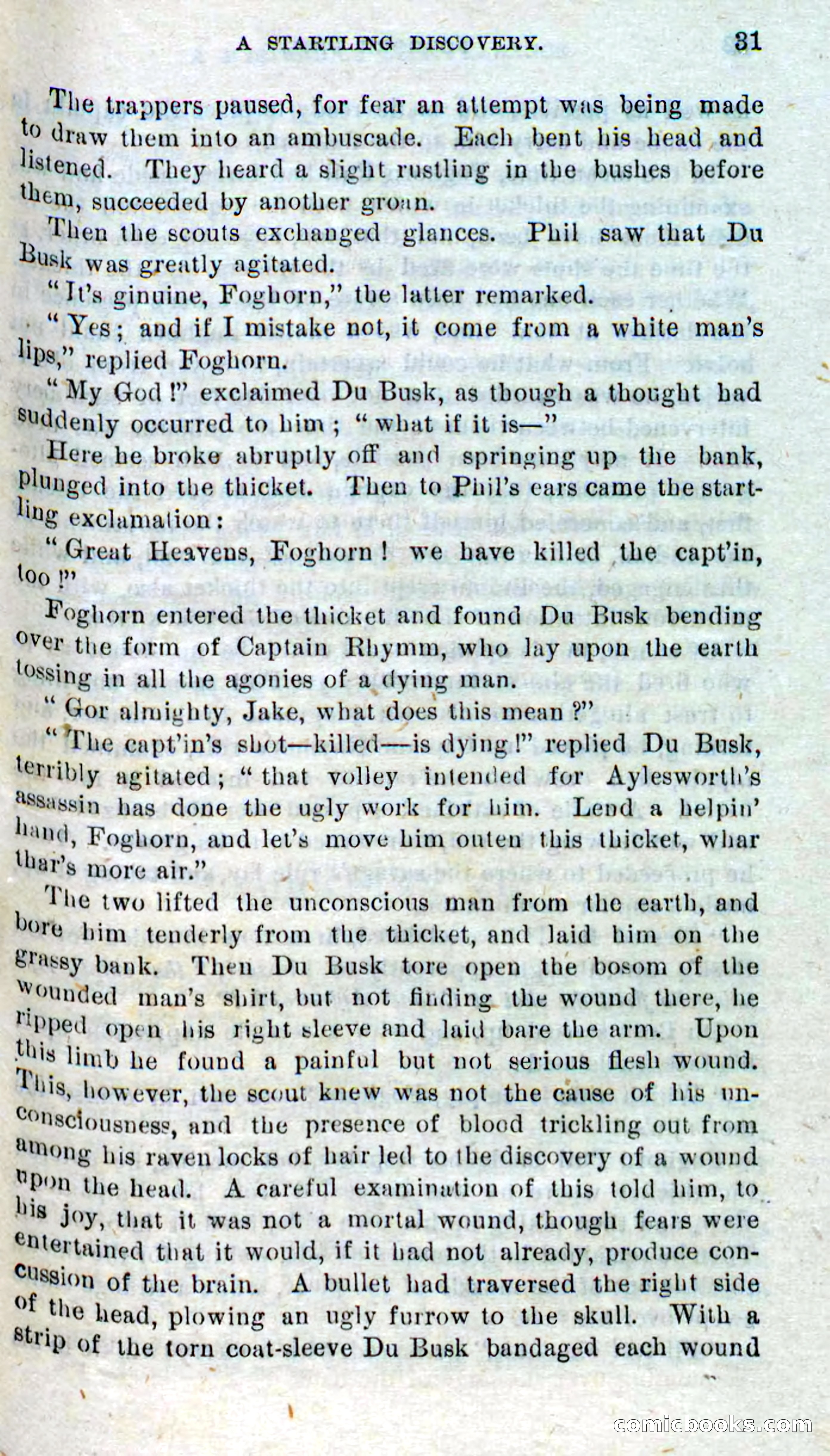Beadle's Dime Novels No. 310: Foghorn Phil — page 29 of 94