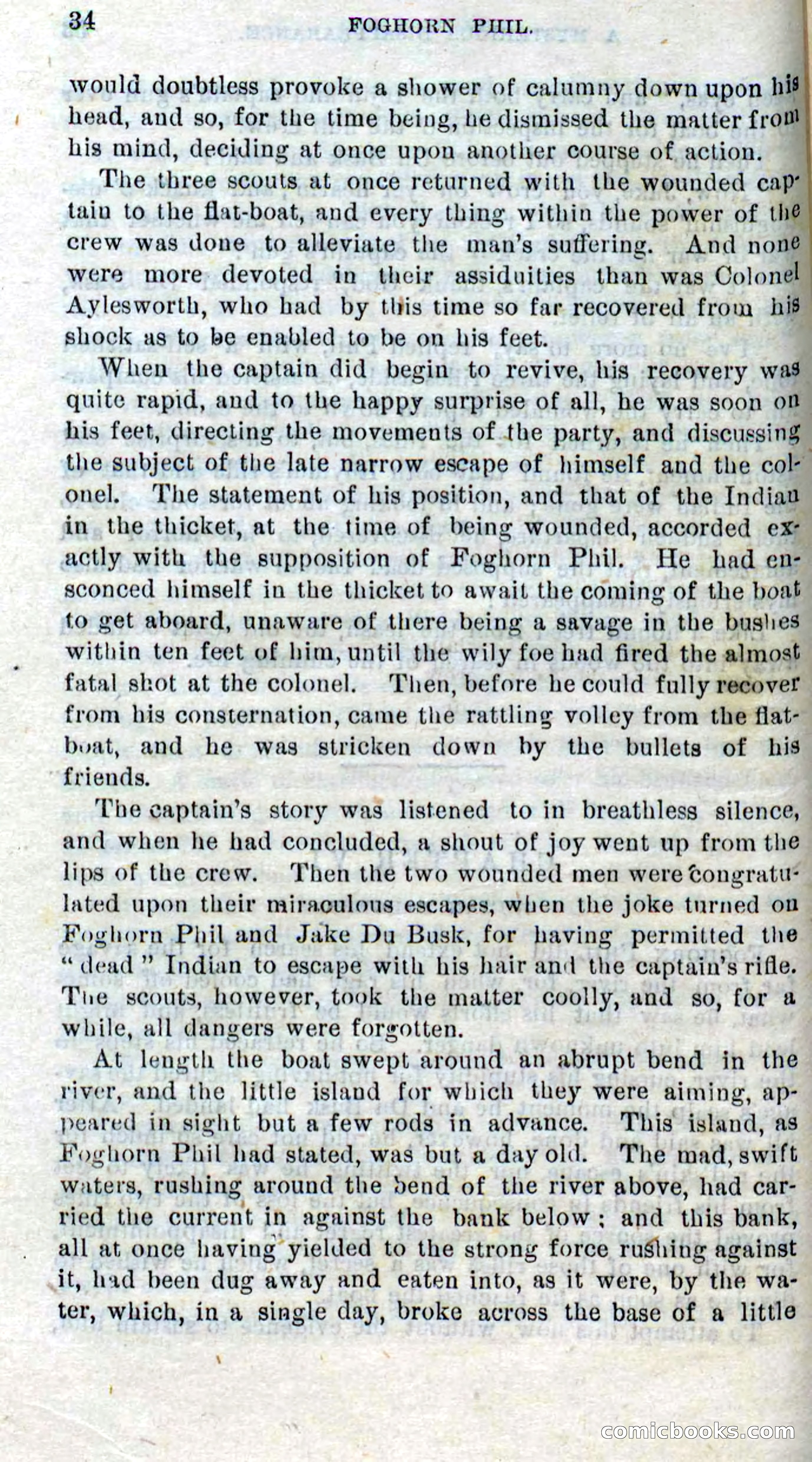 Beadle's Dime Novels No. 310: Foghorn Phil — page 32 of 94