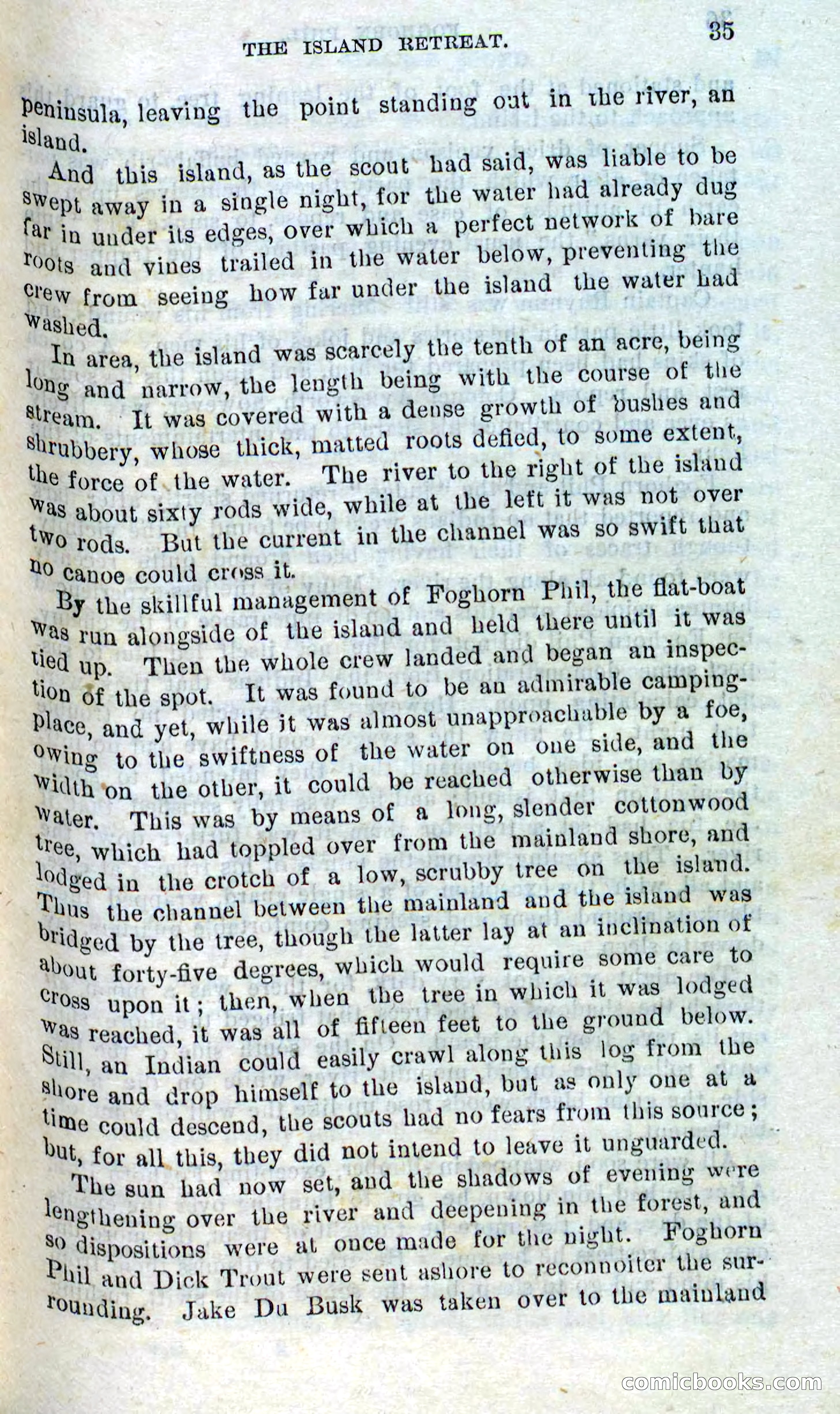 Beadle's Dime Novels No. 310: Foghorn Phil — page 33 of 94