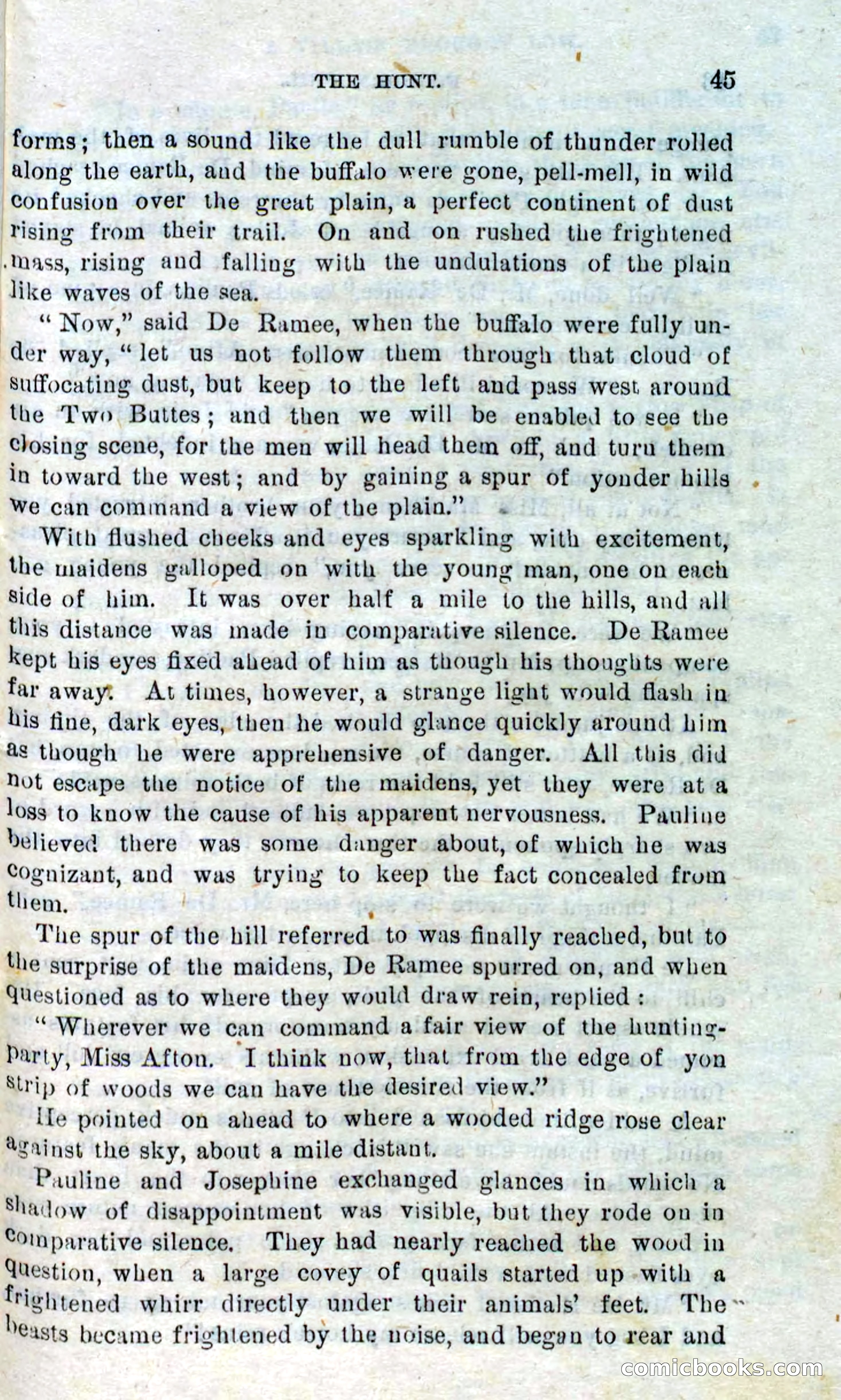 Beadle's Dime Novels No. 310: Foghorn Phil — page 43 of 94