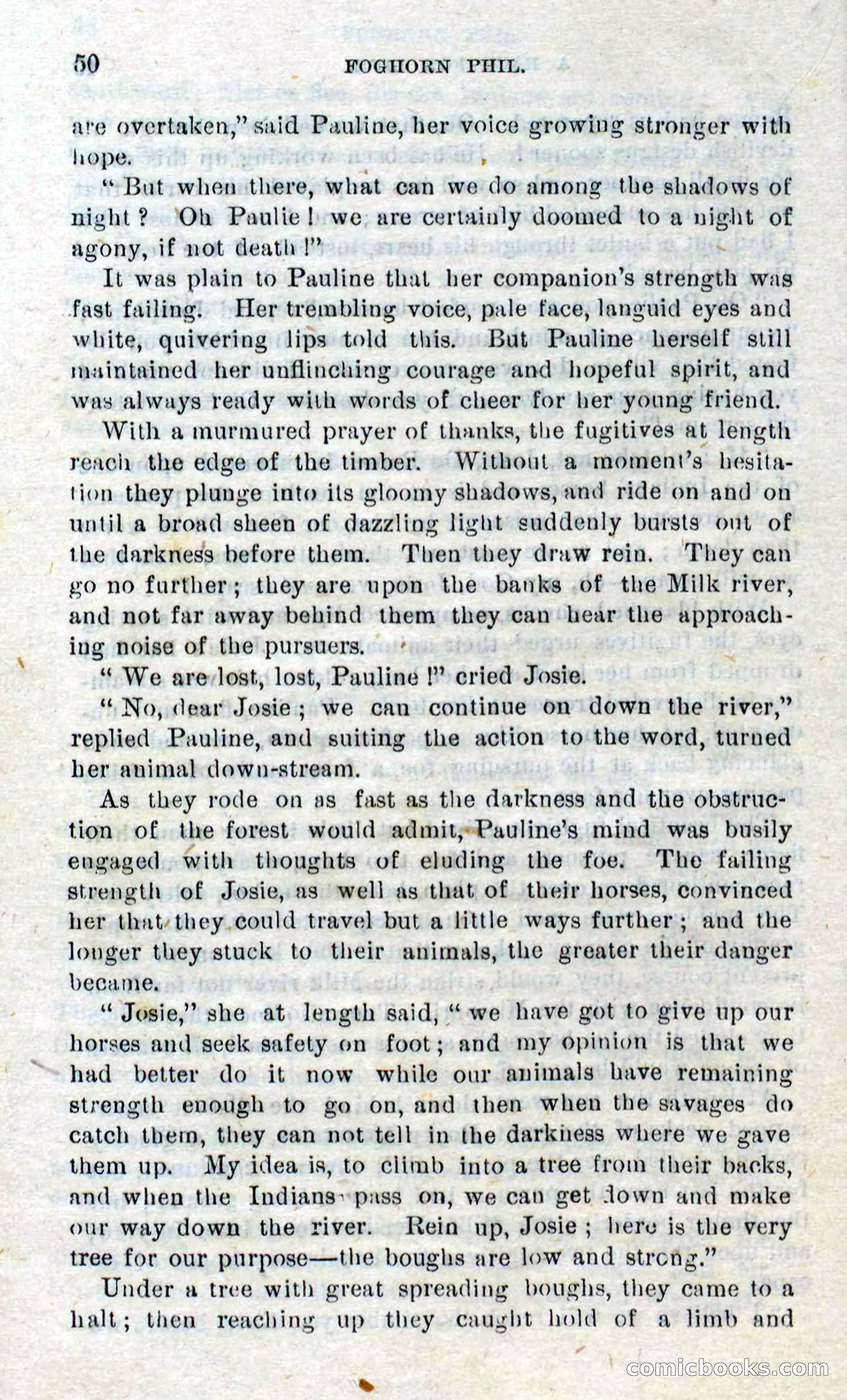 Beadle's Dime Novels No. 310: Foghorn Phil — page 48 of 94