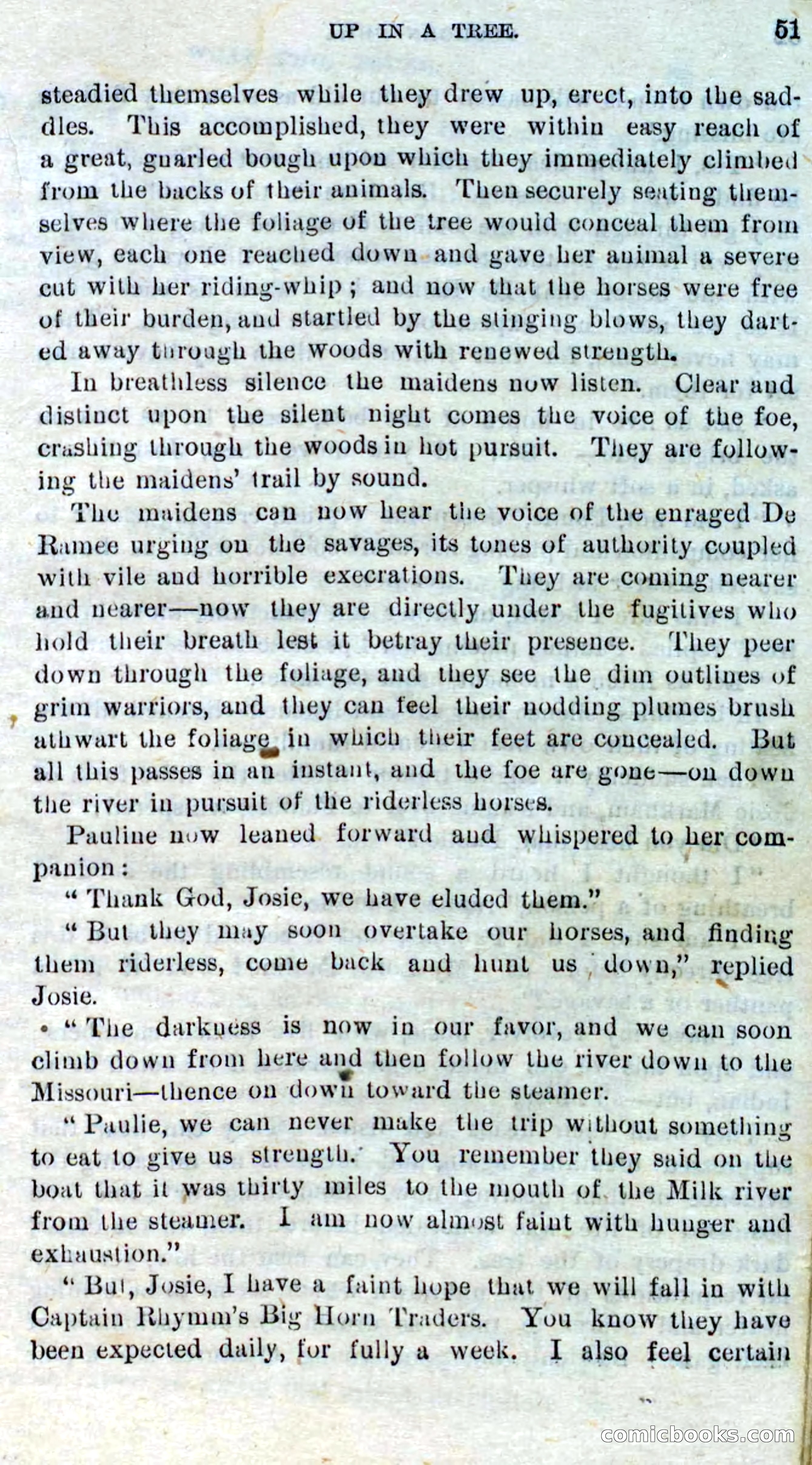 Beadle's Dime Novels No. 310: Foghorn Phil — page 49 of 94