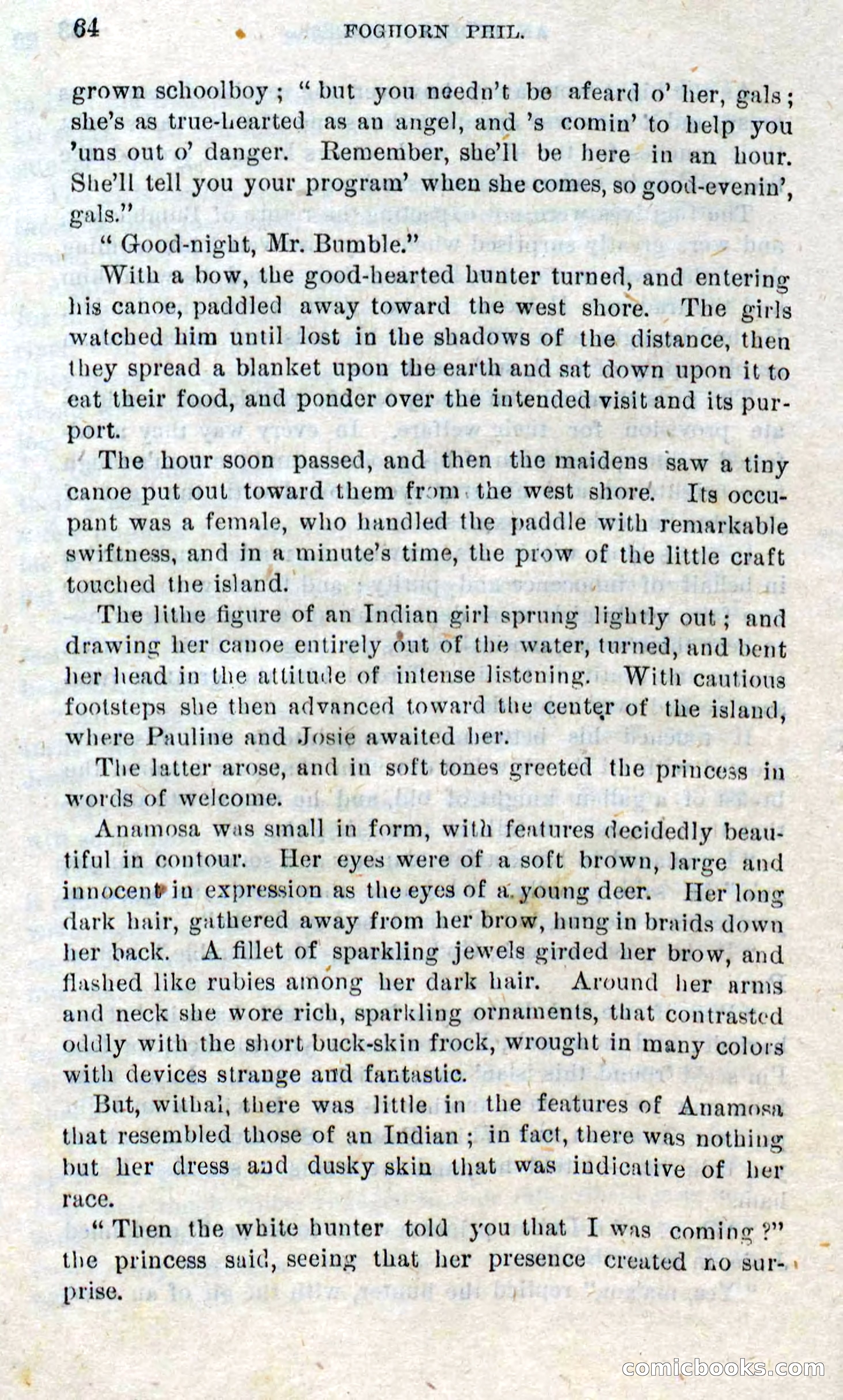 Beadle's Dime Novels No. 310: Foghorn Phil — page 62 of 94