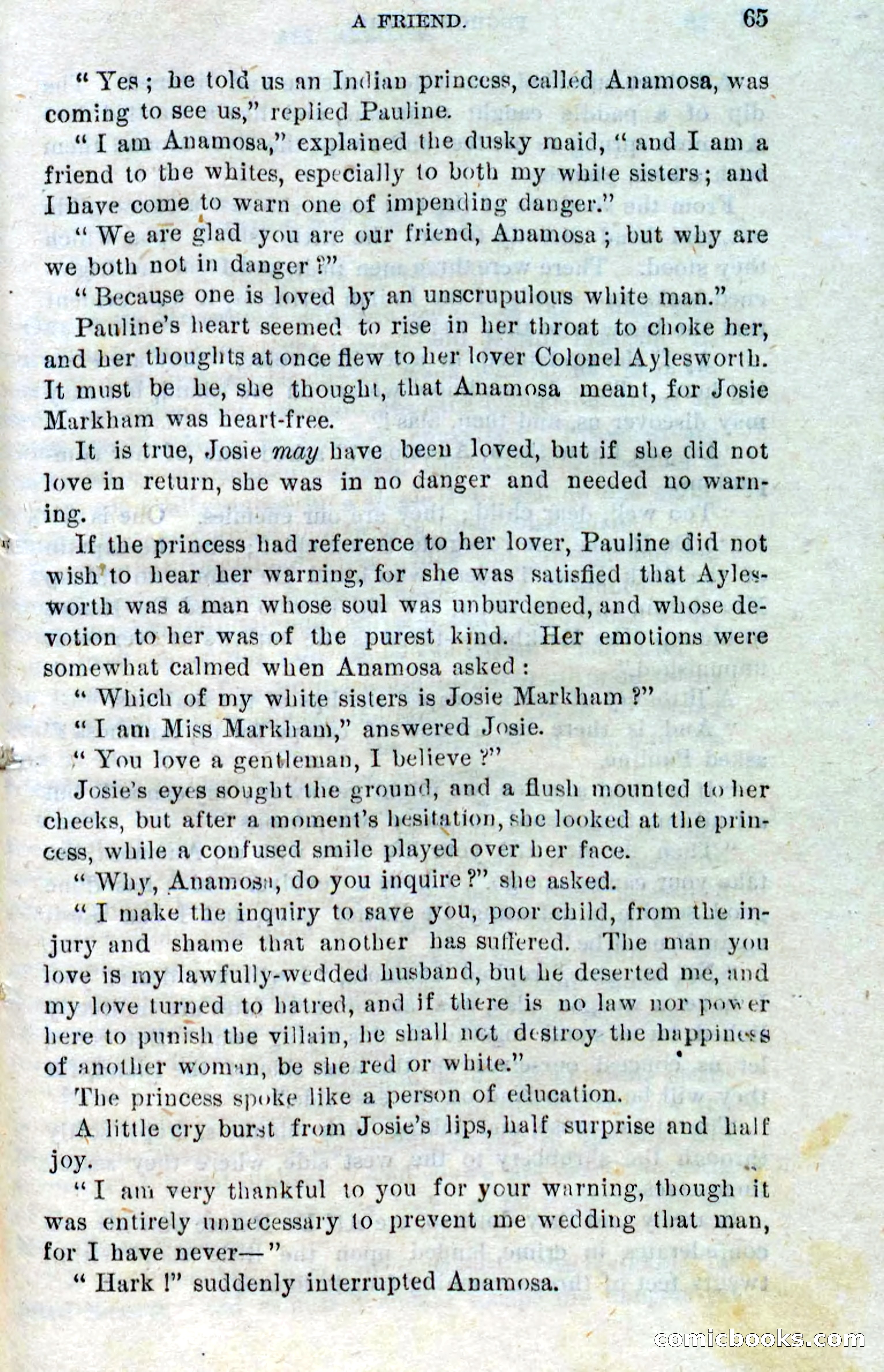 Beadle's Dime Novels No. 310: Foghorn Phil — page 63 of 94