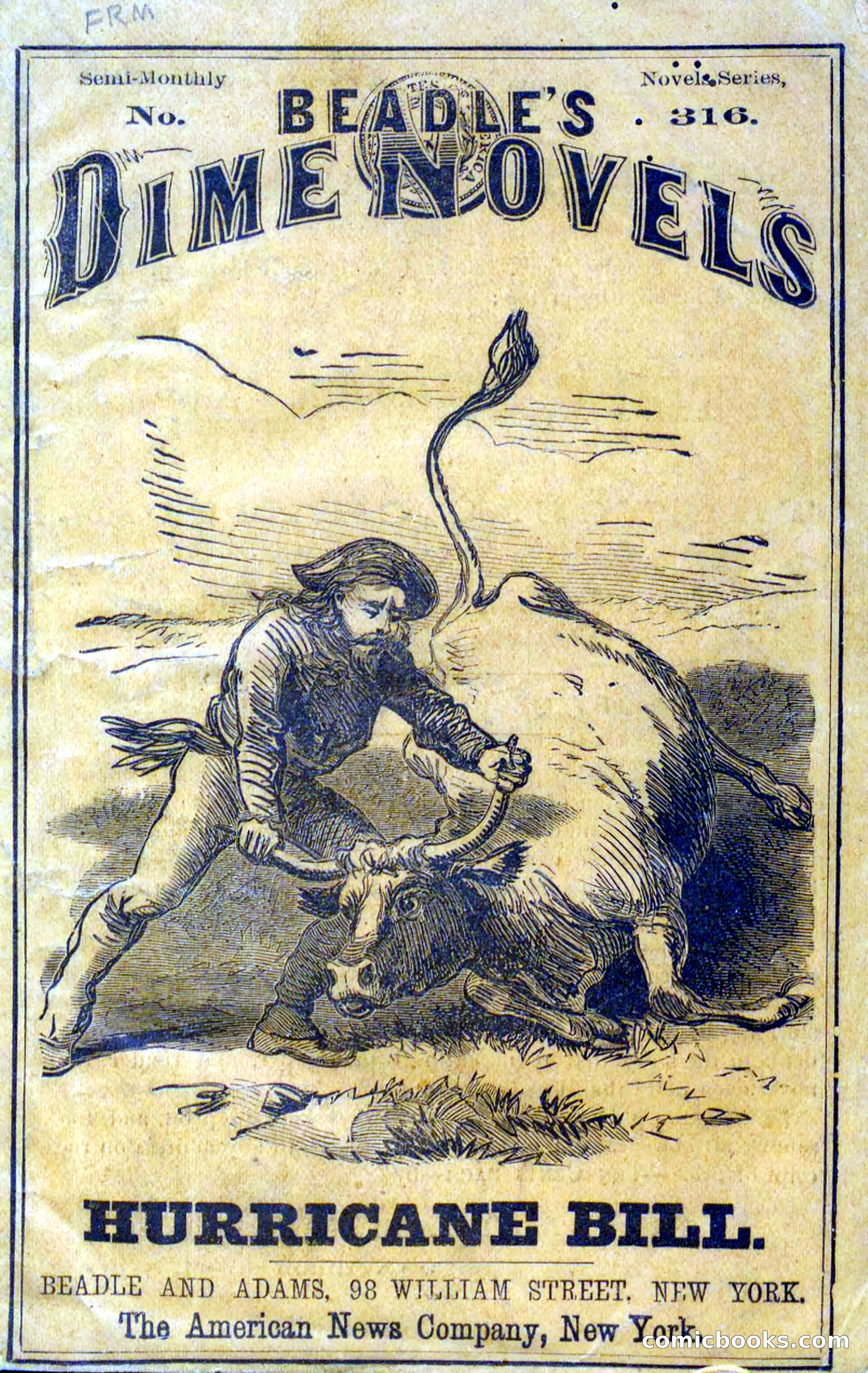 Beadle's Dime Novels No. 316: Hurricane Bill