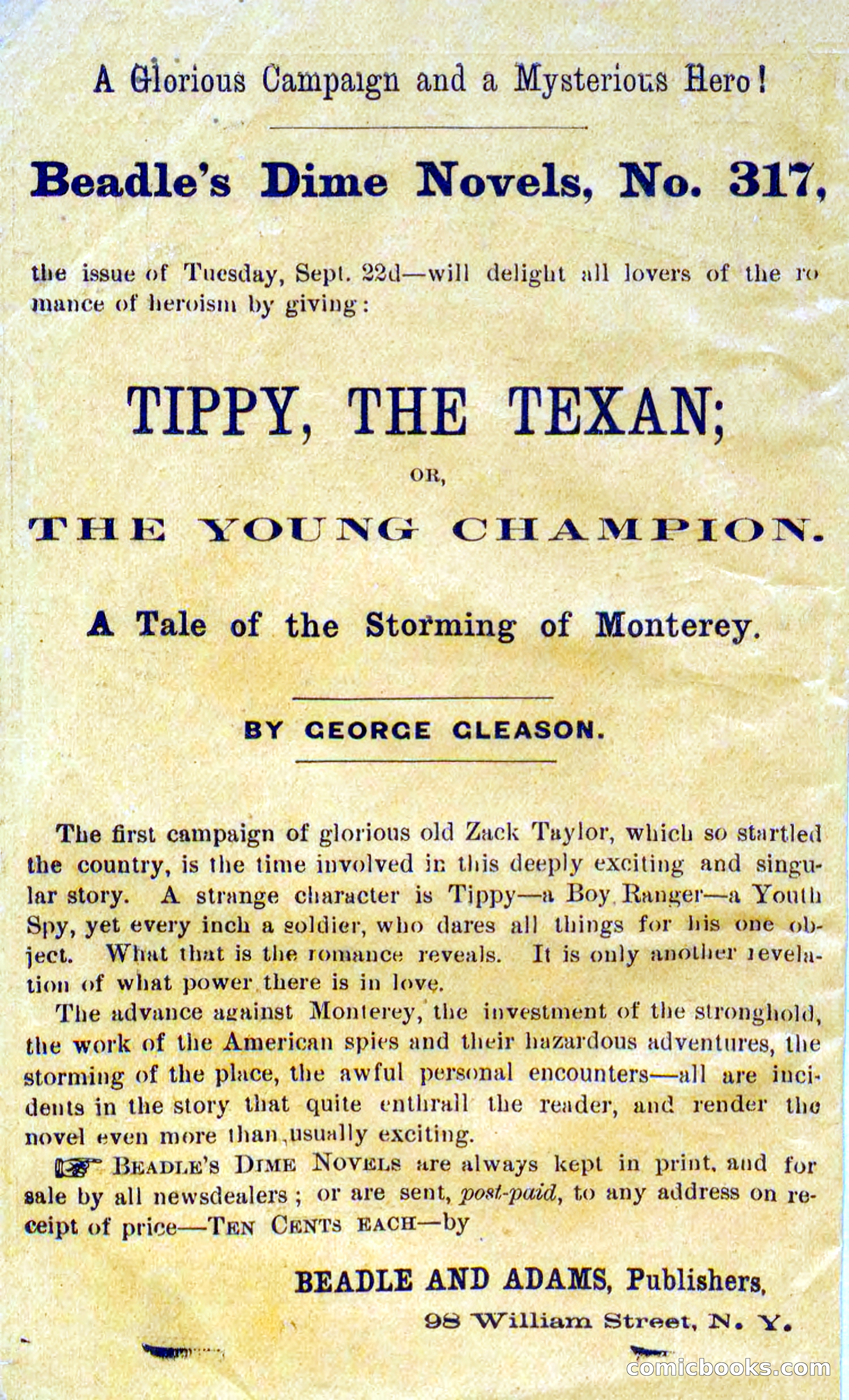 Beadle's Dime Novels No. 316: Hurricane Bill — page 2 of 100