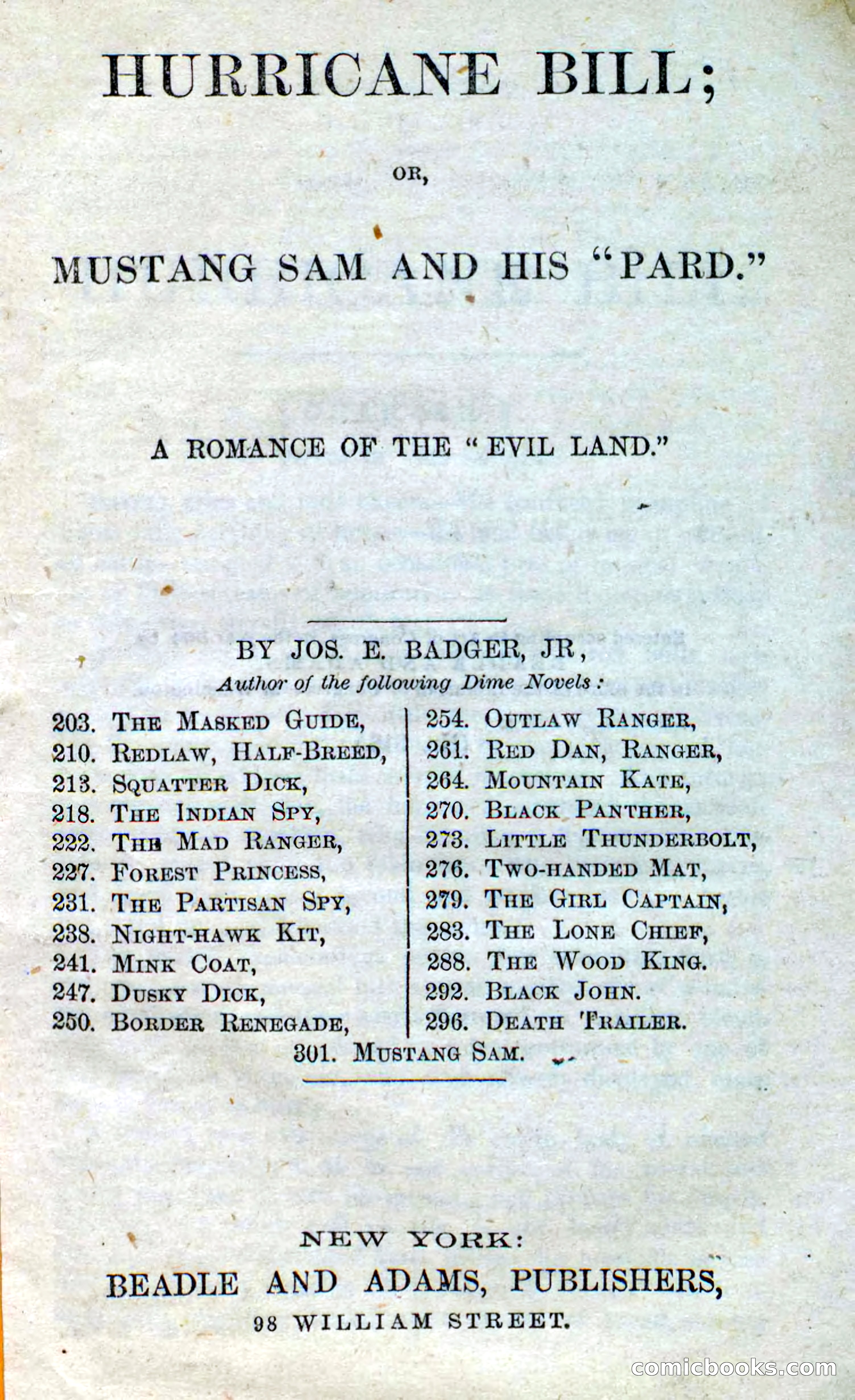 Beadle's Dime Novels No. 316: Hurricane Bill — page 3 of 100