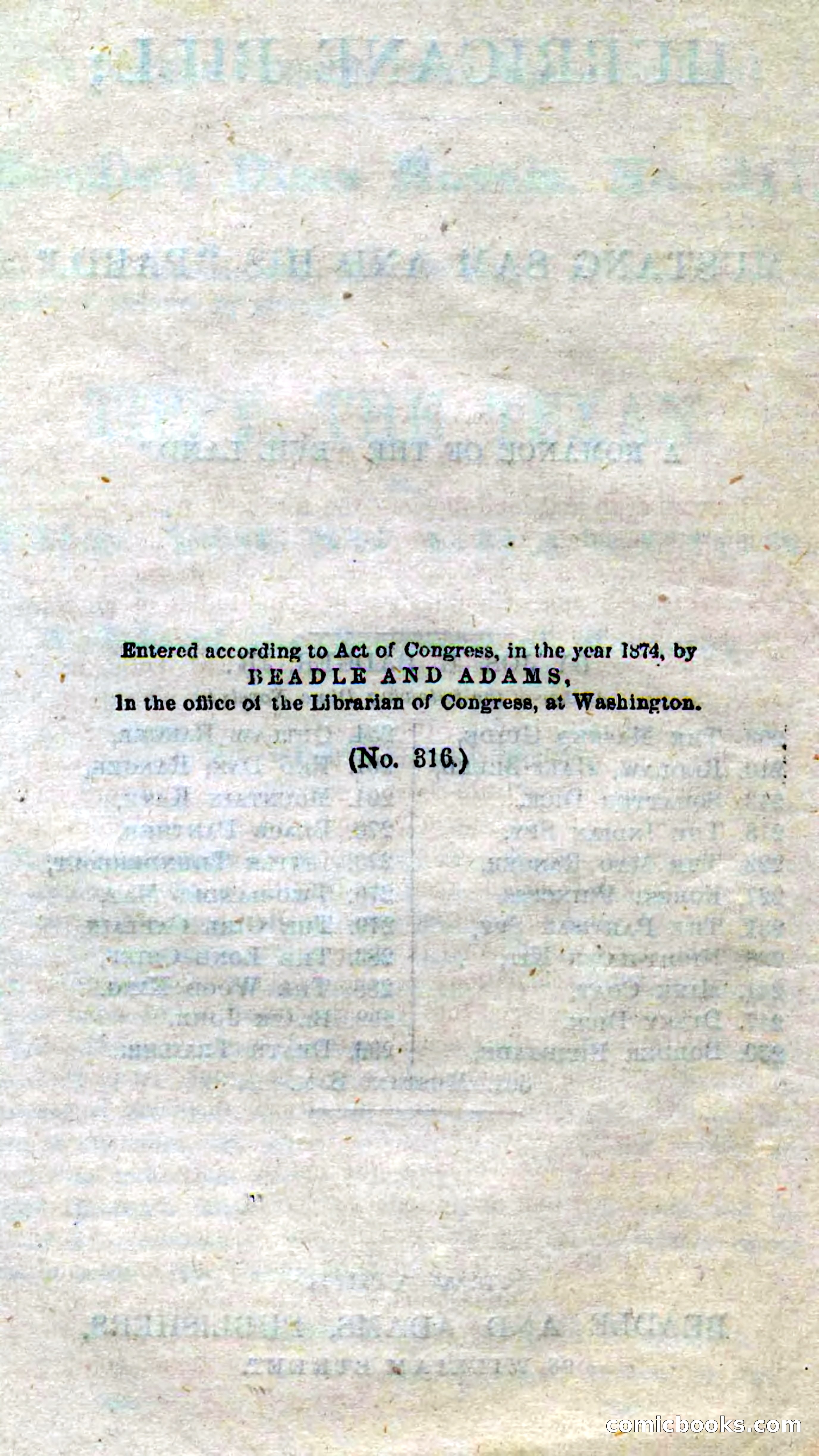 Beadle's Dime Novels No. 316: Hurricane Bill — page 4 of 100