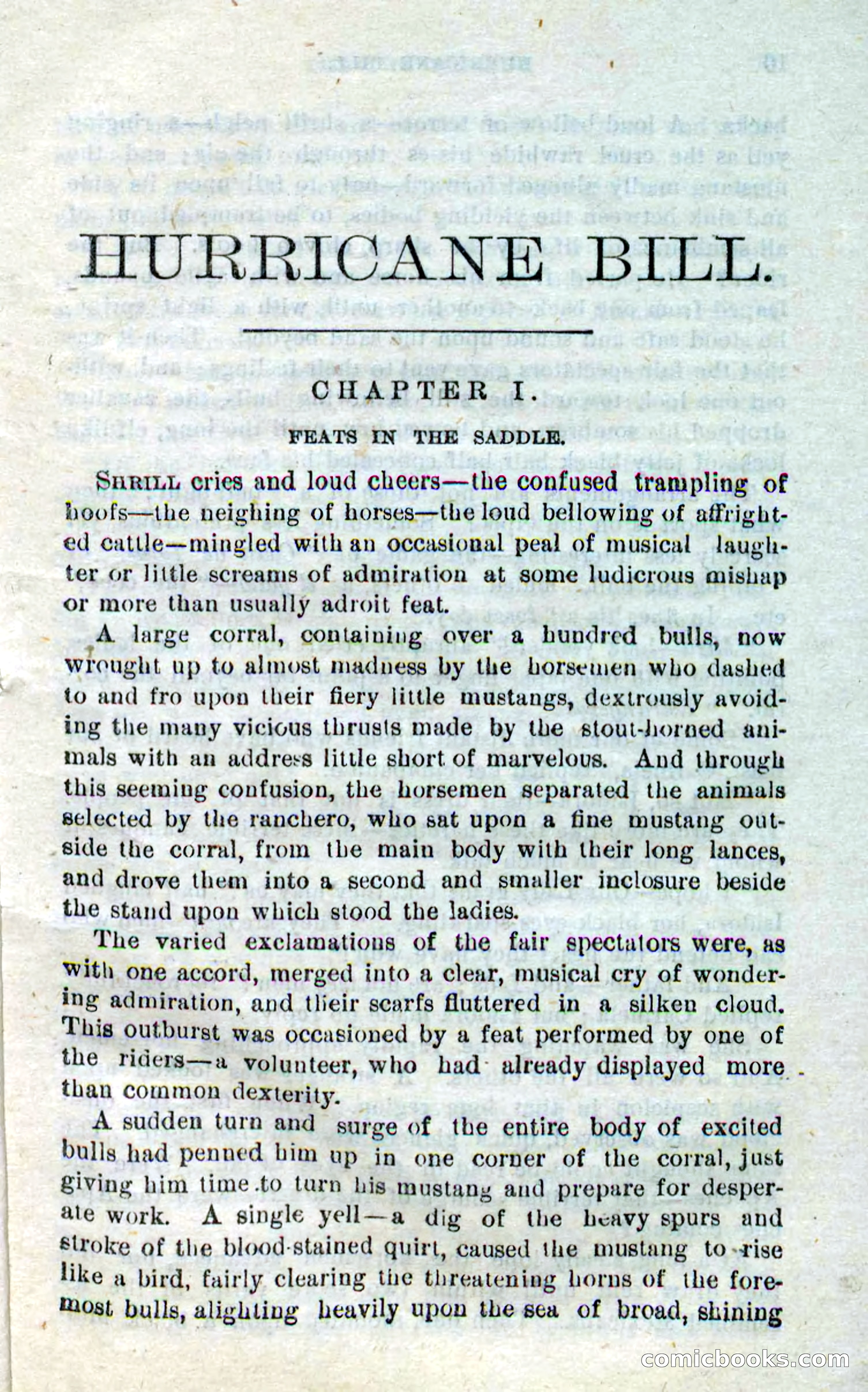Beadle's Dime Novels No. 316: Hurricane Bill — page 5 of 100