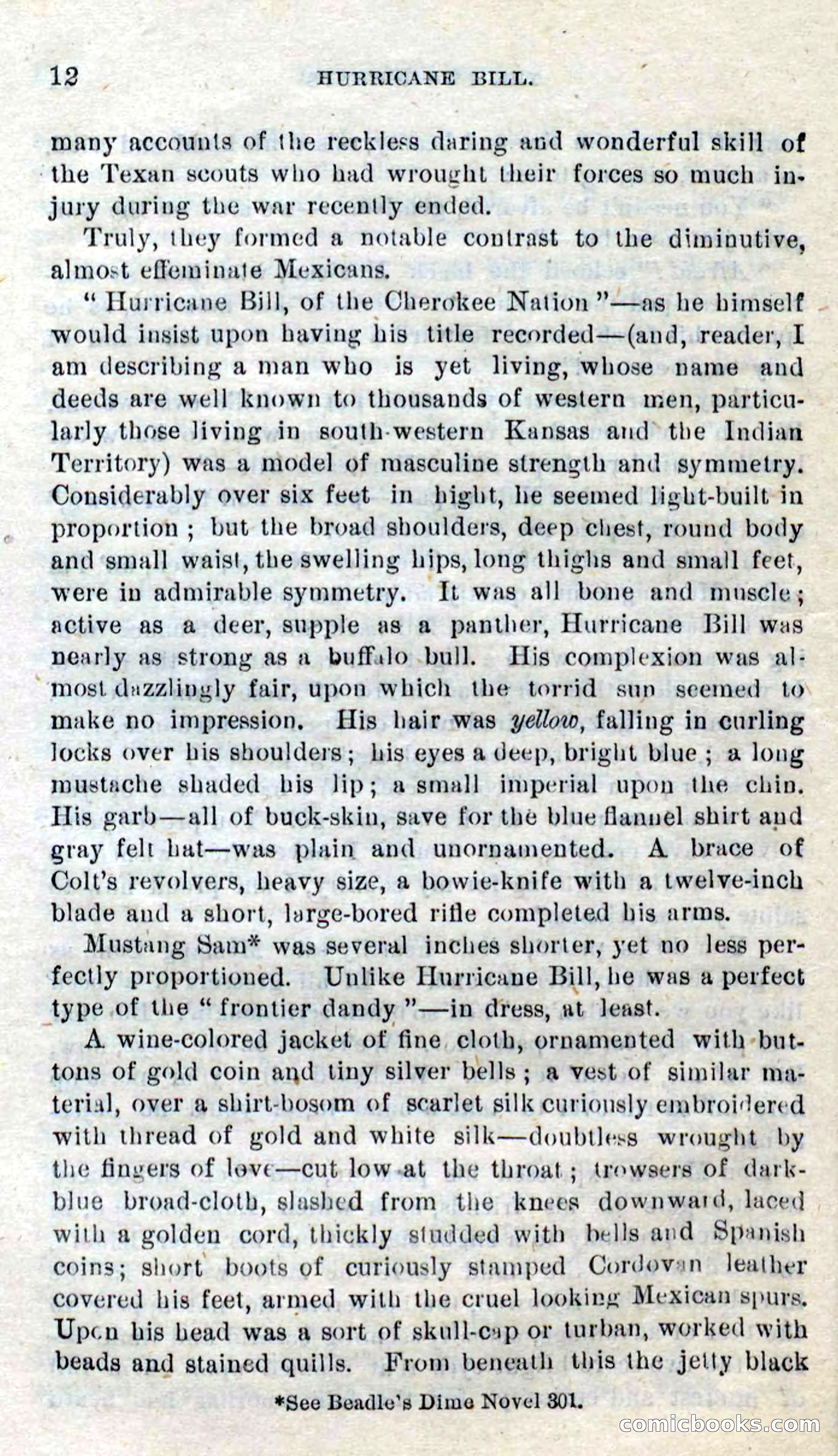 Beadle's Dime Novels No. 316: Hurricane Bill — page 8 of 100