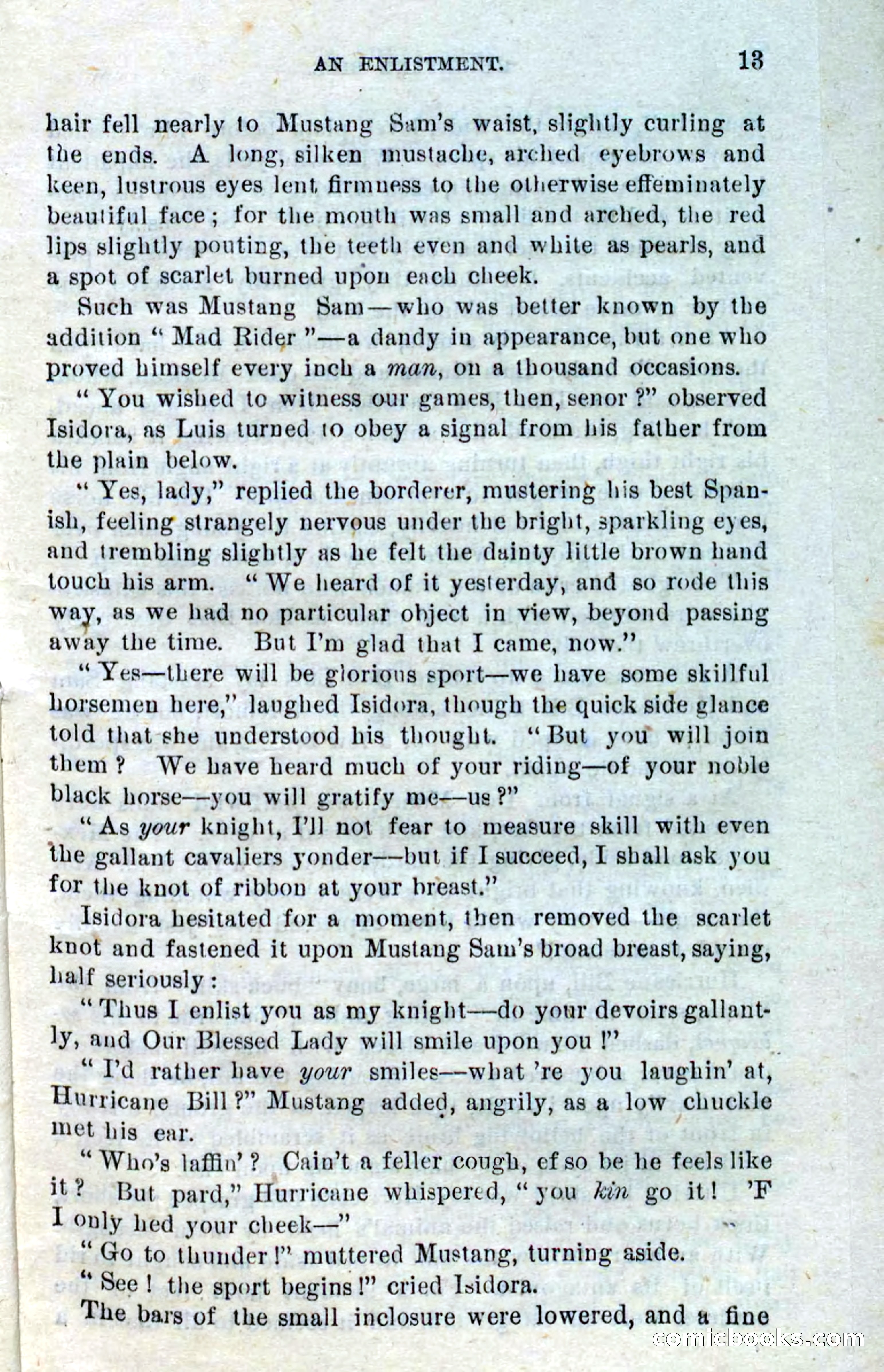 Beadle's Dime Novels No. 316: Hurricane Bill — page 9 of 100