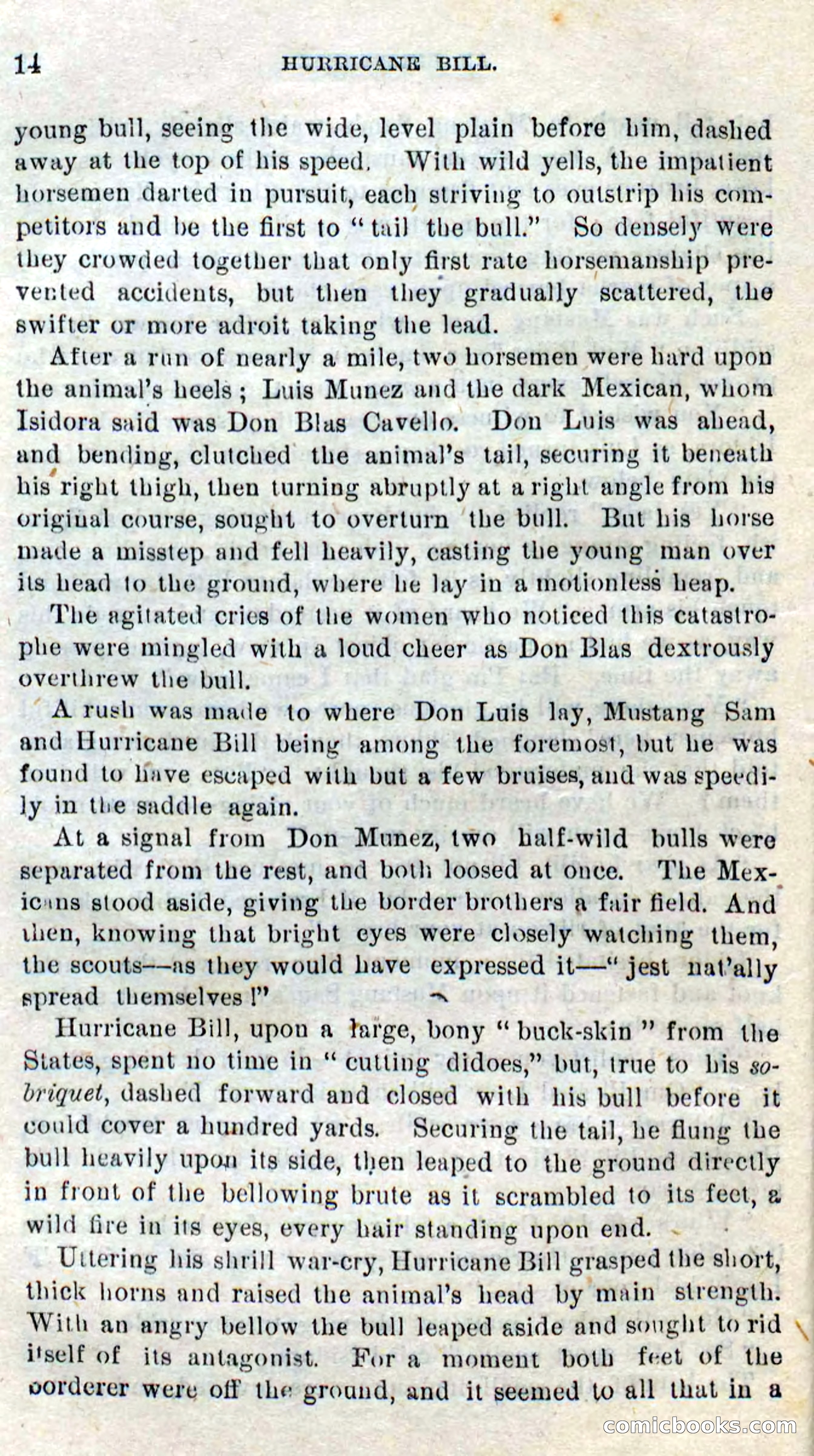 Beadle's Dime Novels No. 316: Hurricane Bill — page 10 of 100