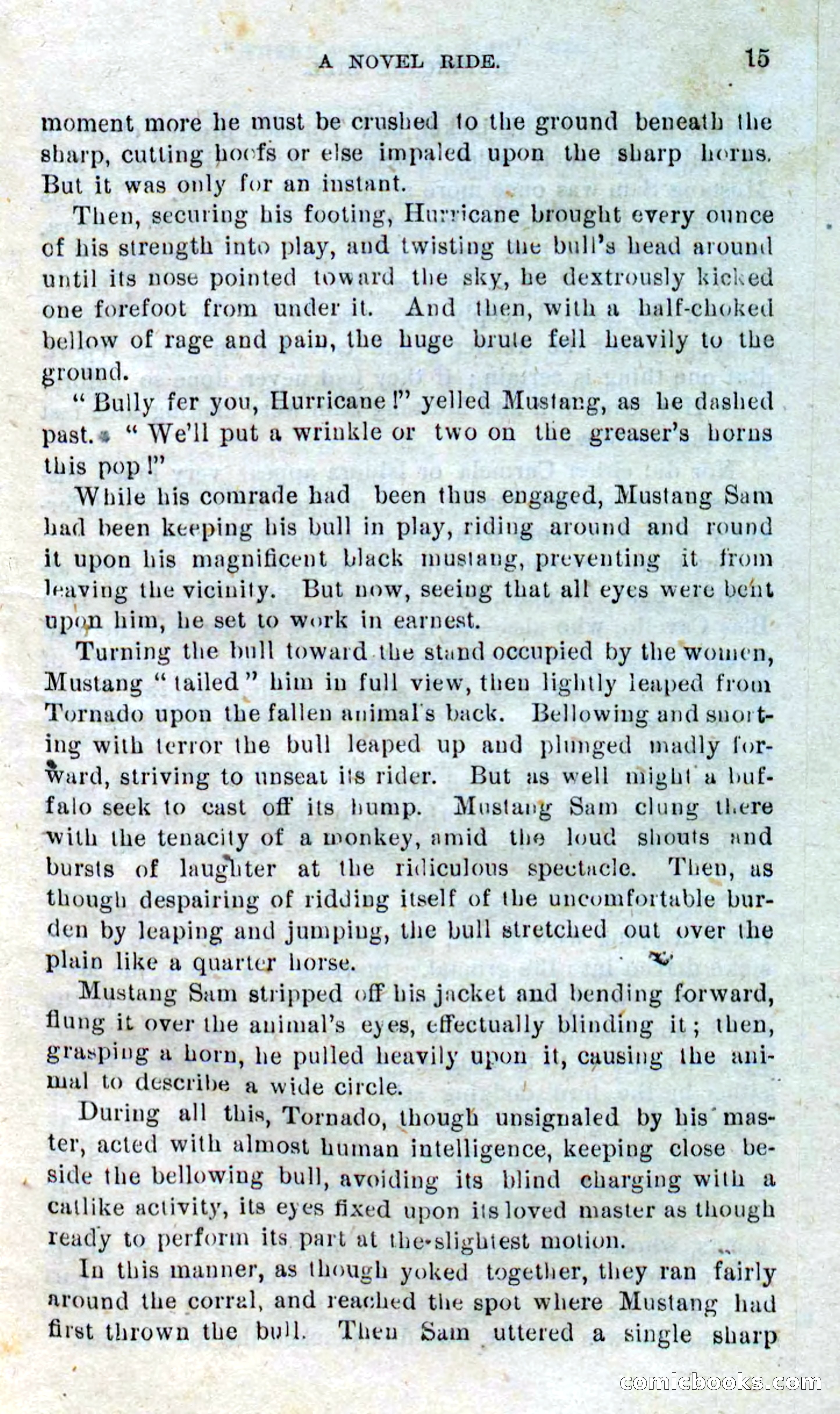 Beadle's Dime Novels No. 316: Hurricane Bill — page 11 of 100