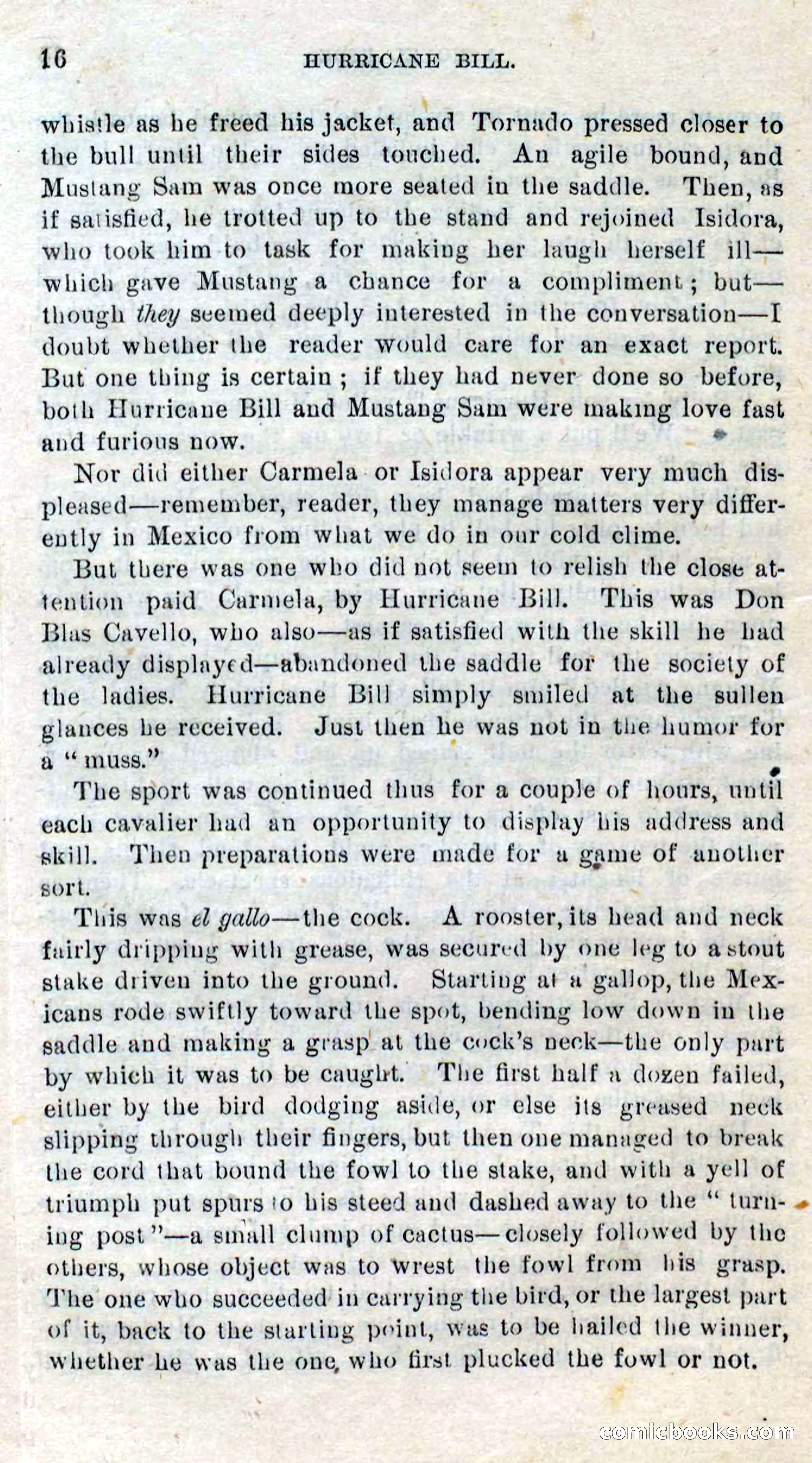 Beadle's Dime Novels No. 316: Hurricane Bill — page 12 of 100