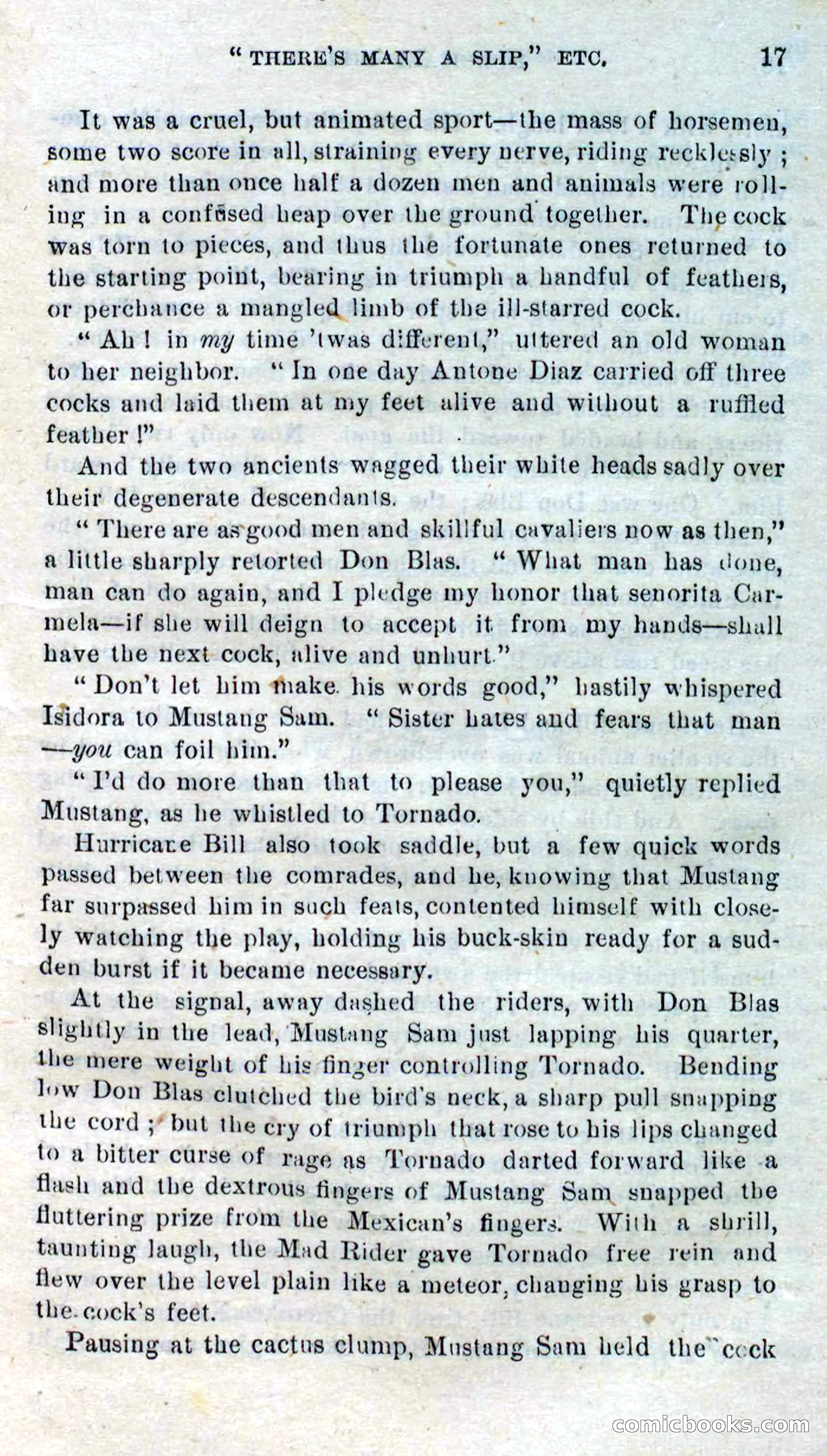 Beadle's Dime Novels No. 316: Hurricane Bill — page 13 of 100