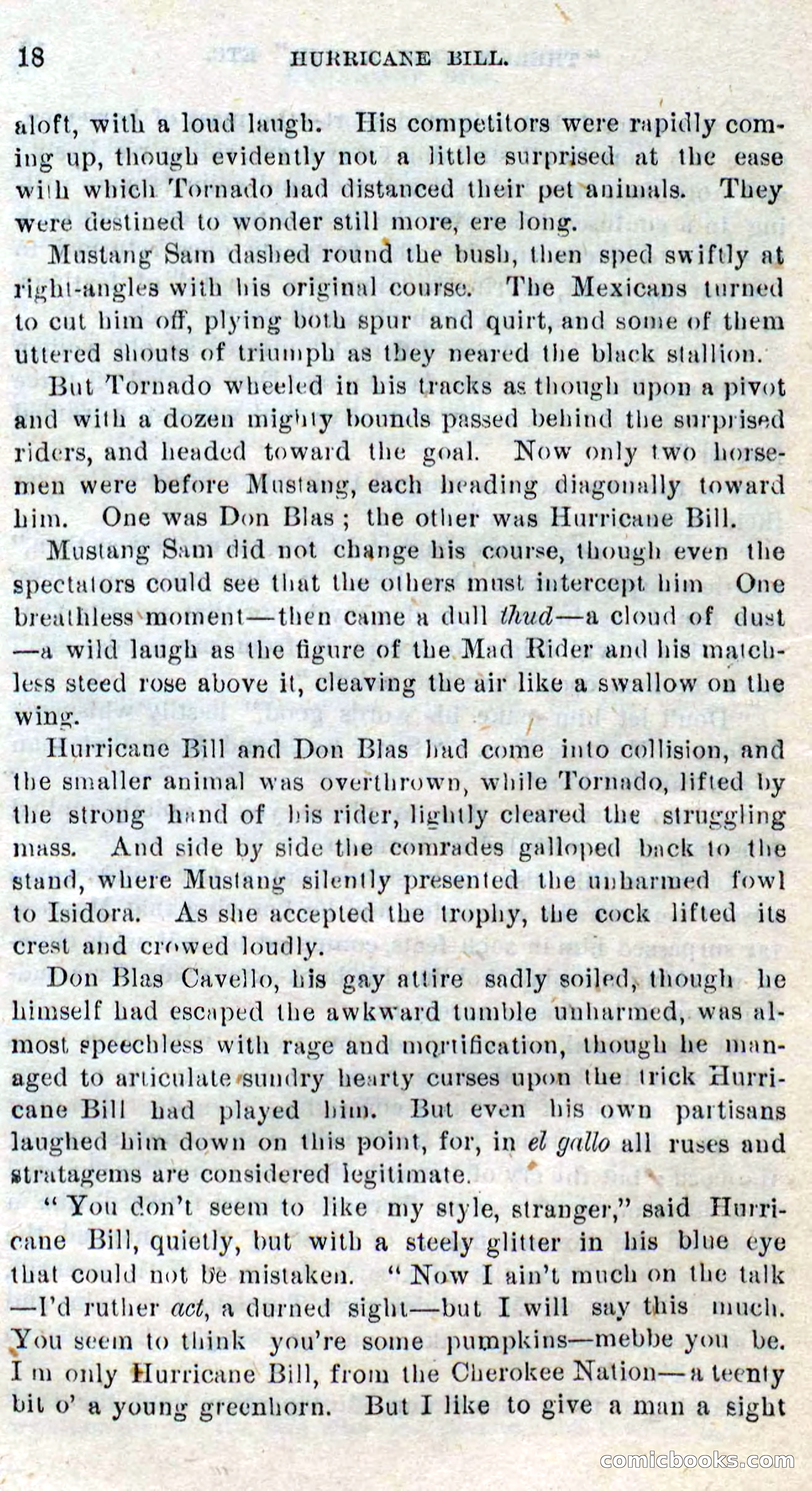Beadle's Dime Novels No. 316: Hurricane Bill — page 14 of 100