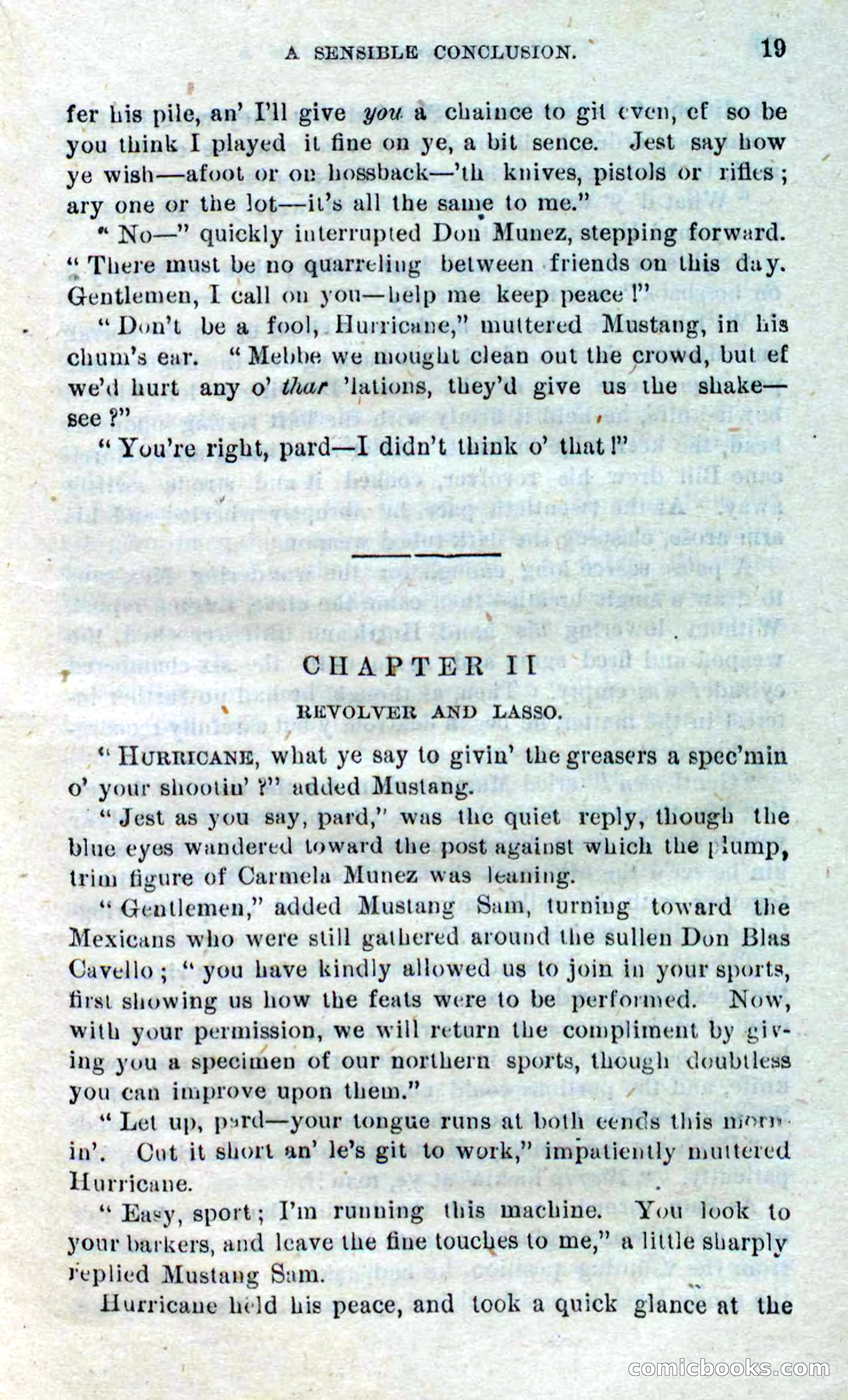 Beadle's Dime Novels No. 316: Hurricane Bill — page 15 of 100