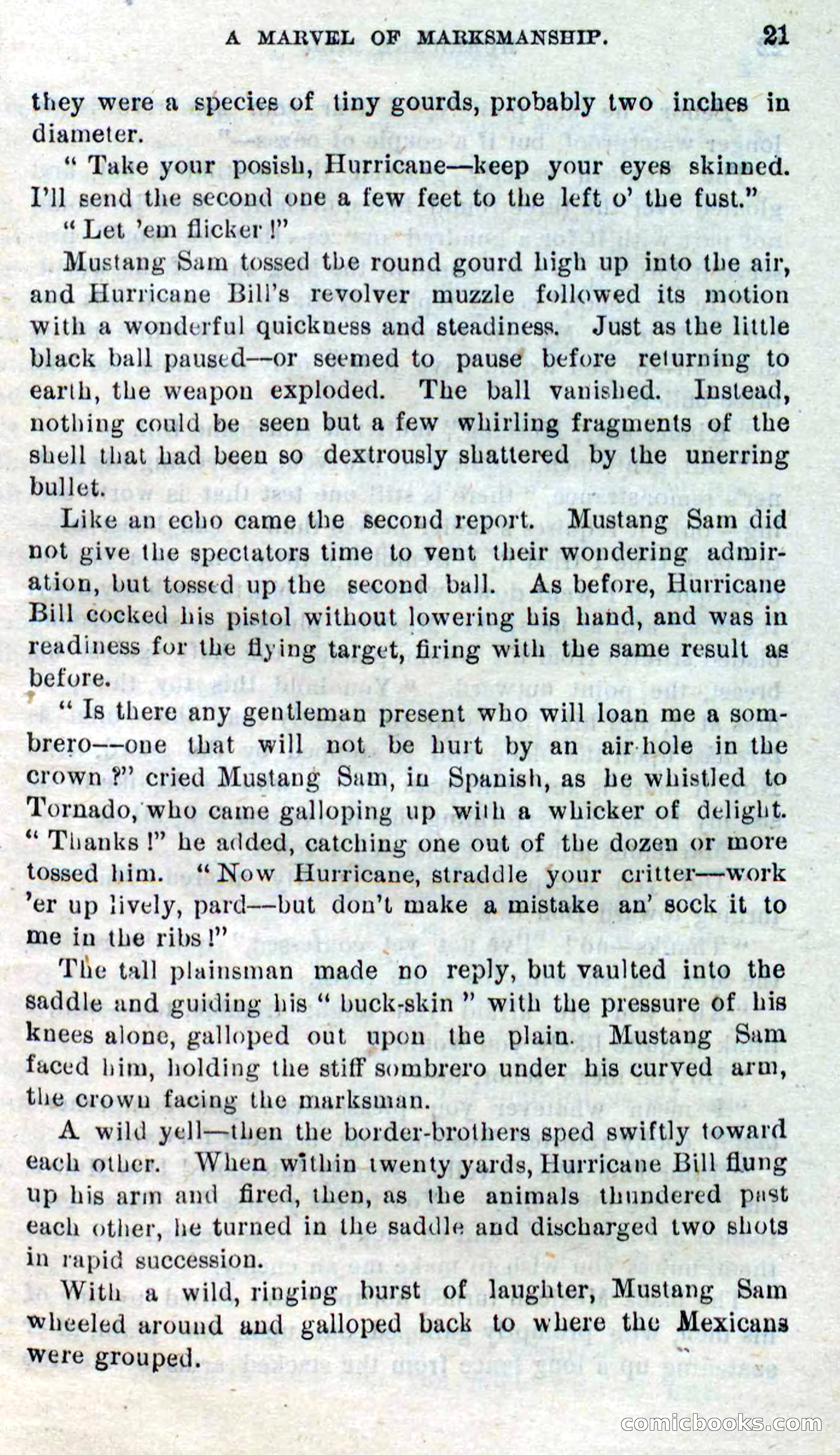 Beadle's Dime Novels No. 316: Hurricane Bill — page 17 of 100